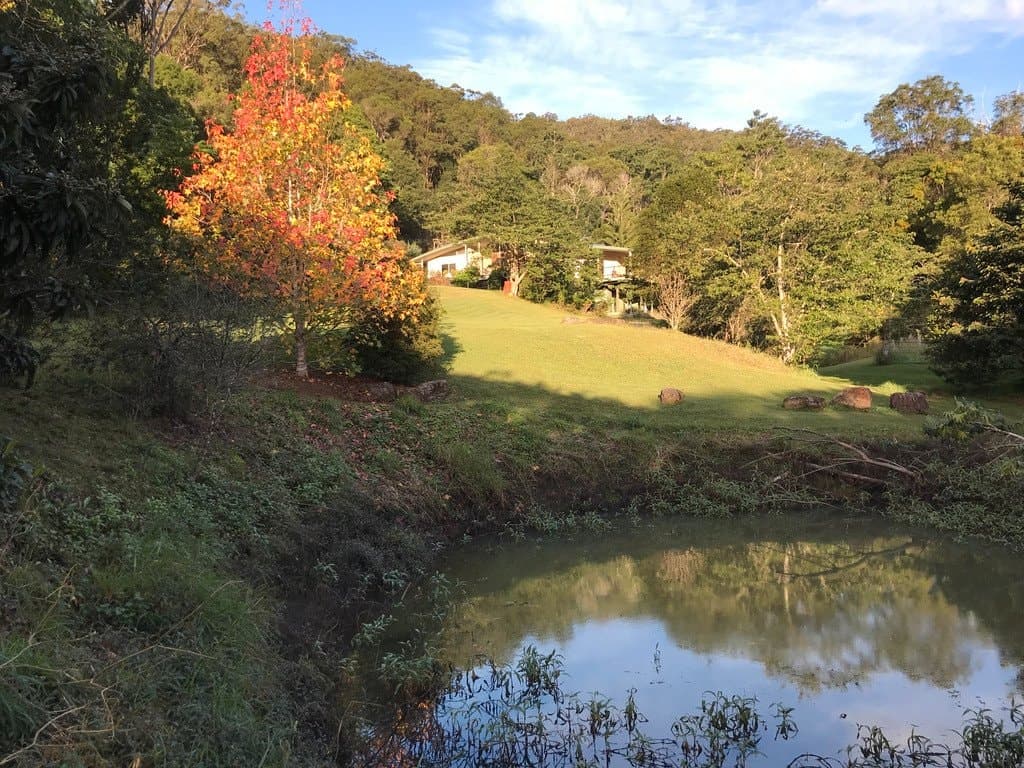 39 Rusty Court, TALLEBUDGERA VALLEY QLD 4228, Tallebudgera Valley Property Image - Thumbnail 2