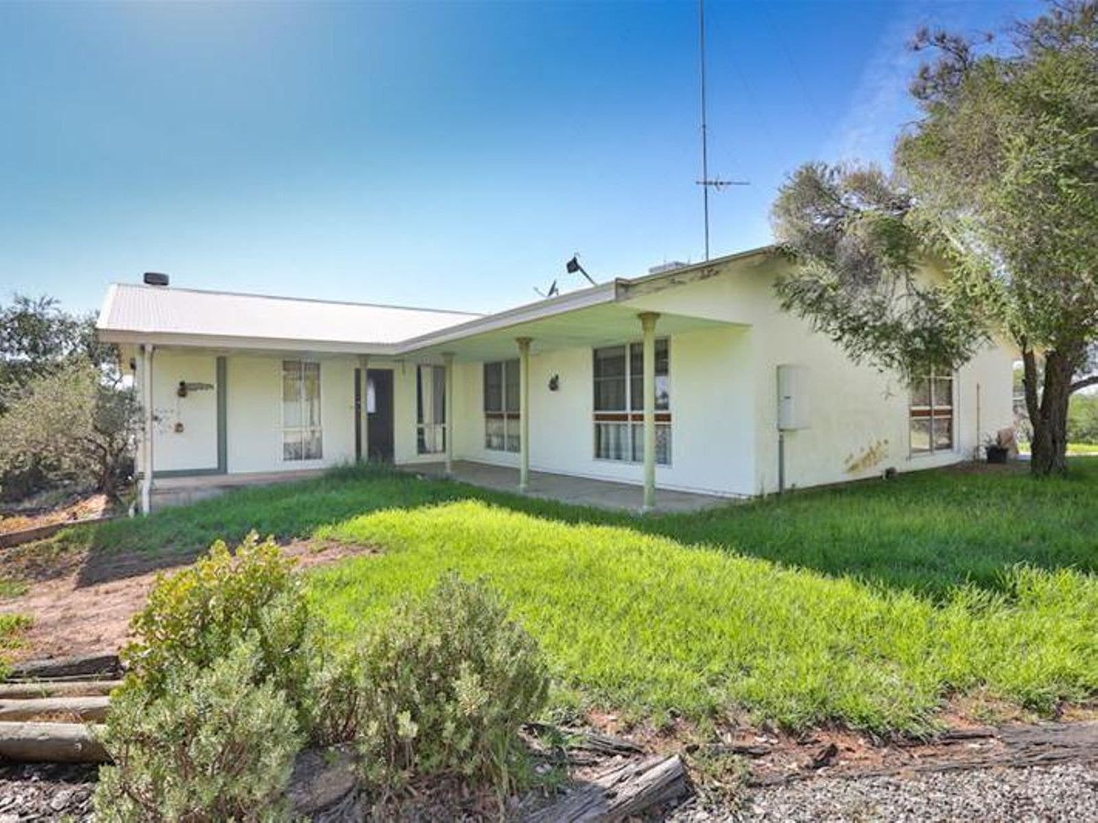 101 Cooke Street, Nichols Point - Thumbnail 2