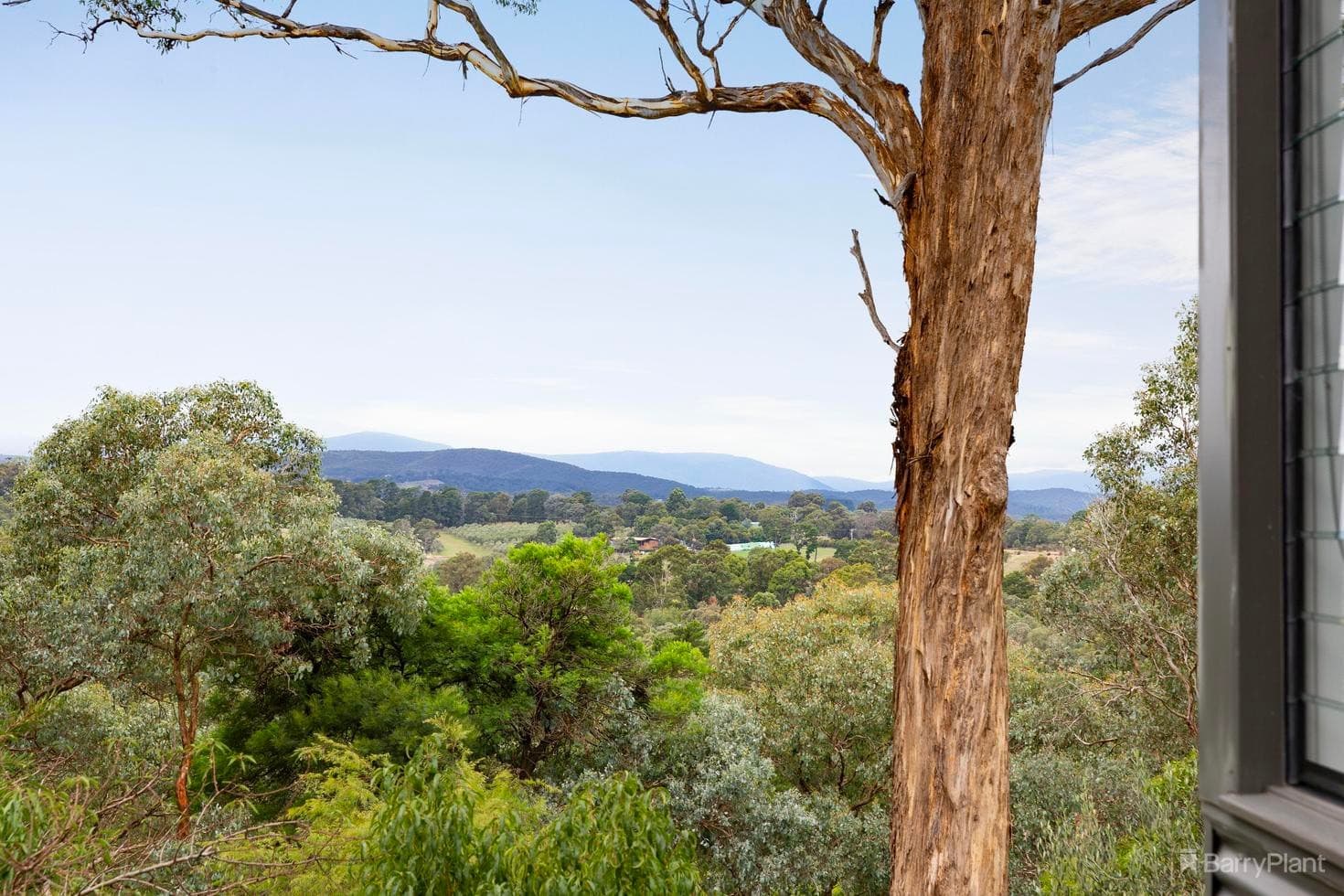 180 Flat Rock Road, Hurstbridge, VIC 3099, Hurstbridge - Thumbnail 6