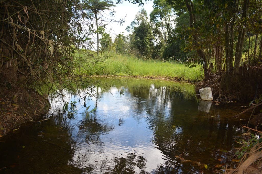 4903 Palmerston Highway, Millaa Millaa, QLD, 4886, Millaa Millaa - Thumbnail 3