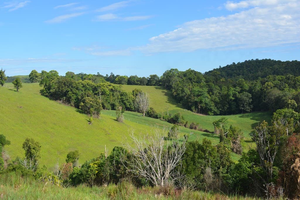 4903 Palmerston Highway, Millaa Millaa, QLD, 4886, Millaa Millaa - Thumbnail 4