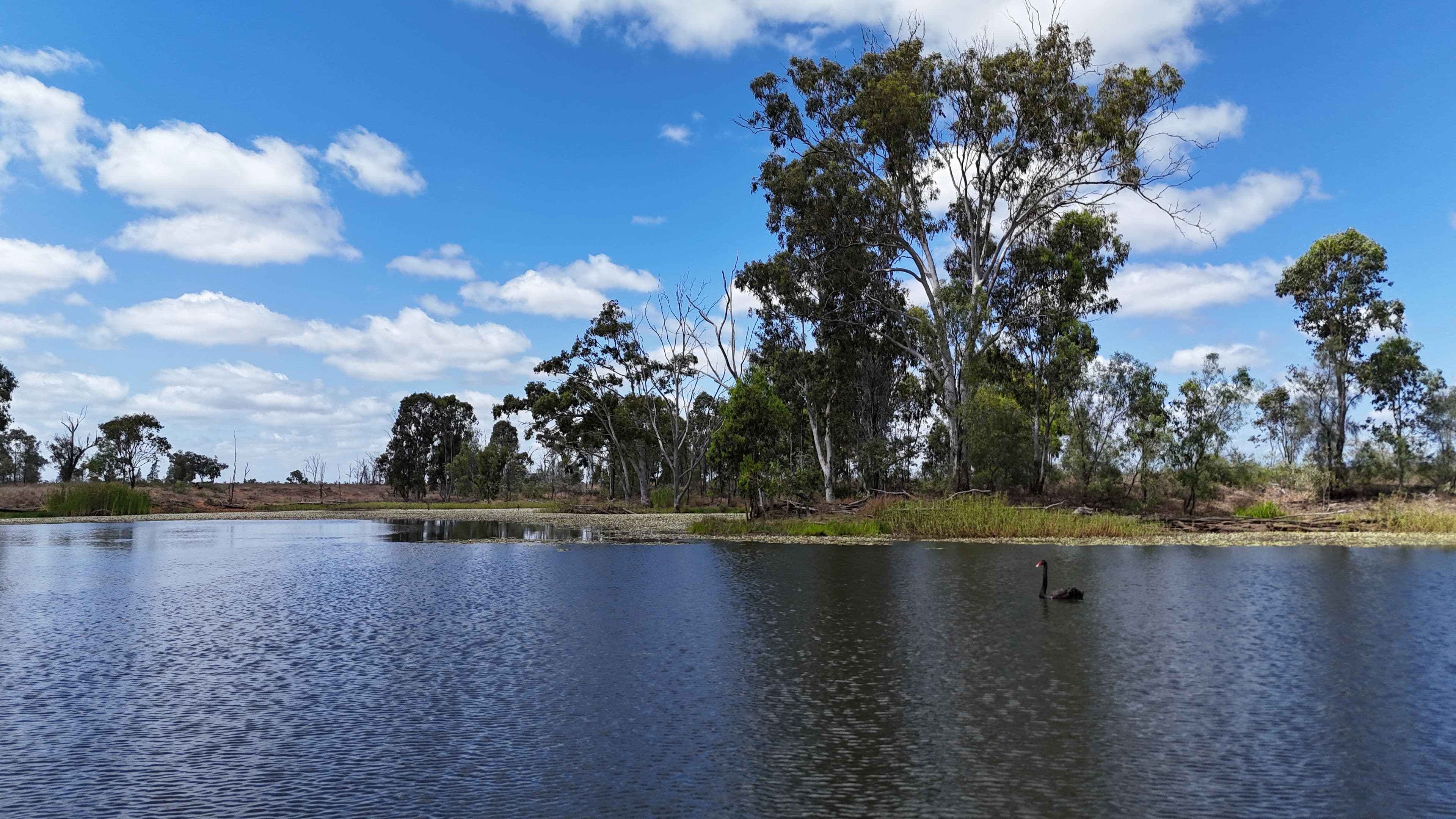 781 Spring Creek Road, Coppabella QLD 4741, Coppabella - Image 1