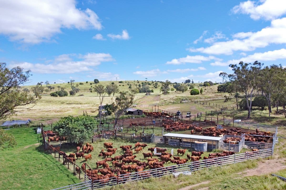 2123 Harrami Road, Harrami QLD 4630, Harrami - Image 1