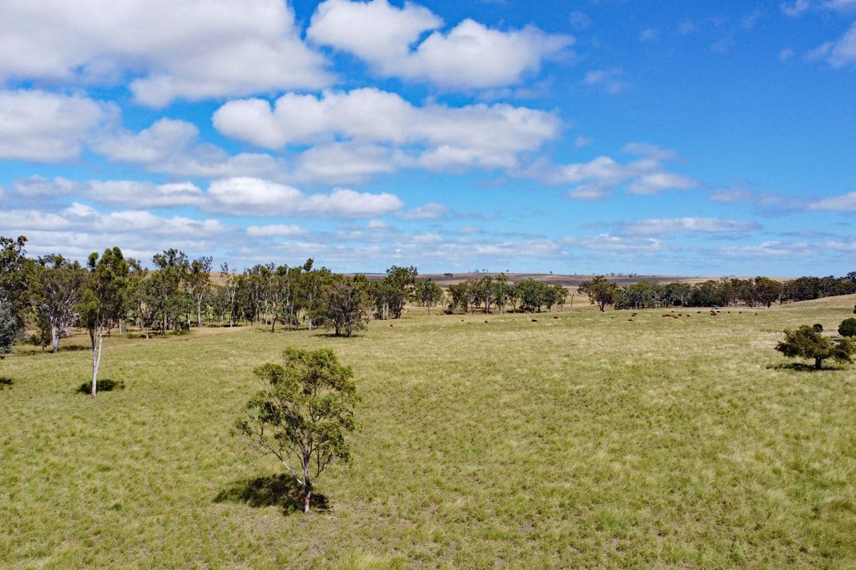 2123 Harrami Road, Harrami QLD 4630, Harrami - Thumbnail 3