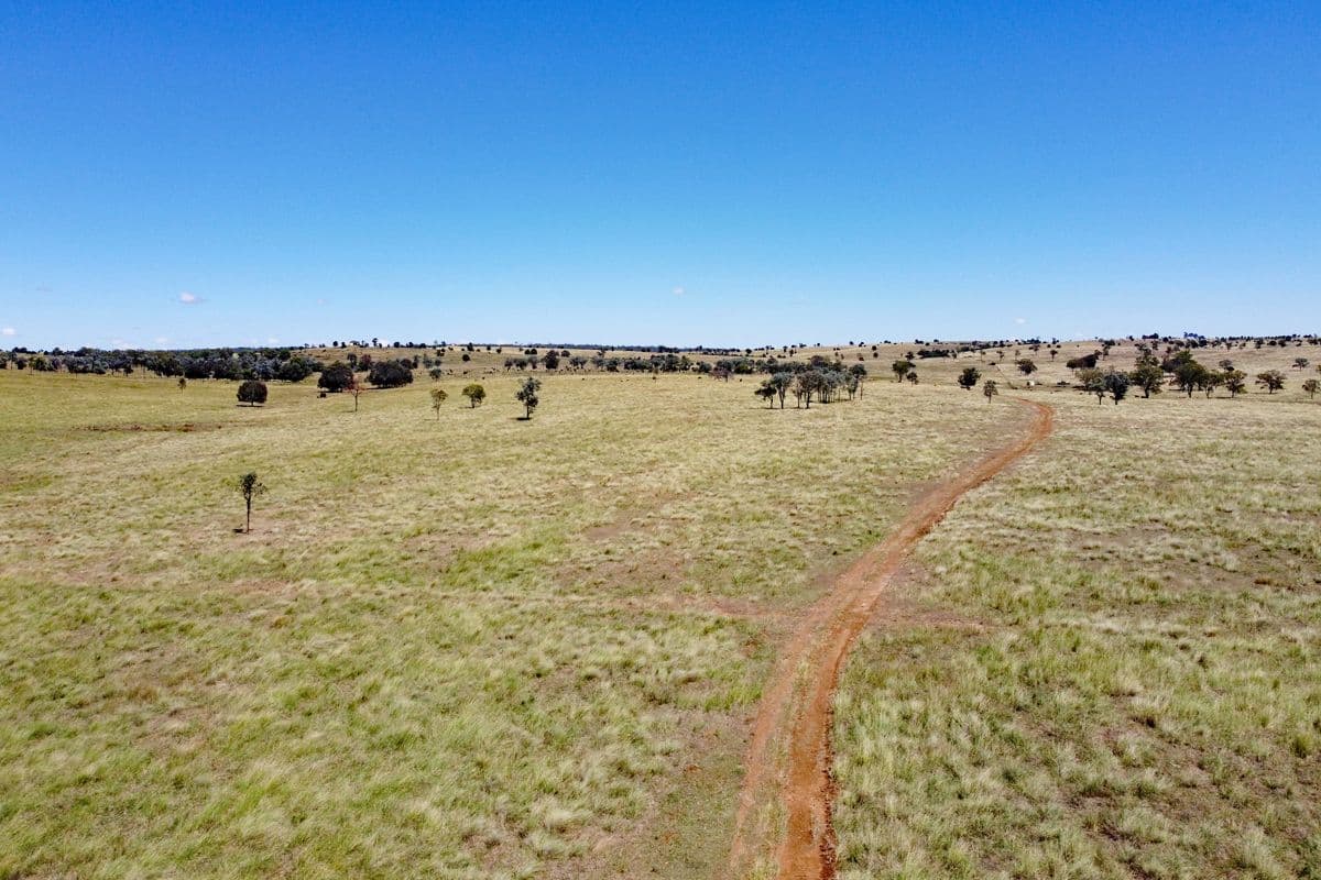 2123 Harrami Road, Harrami QLD 4630, Harrami - Thumbnail 5