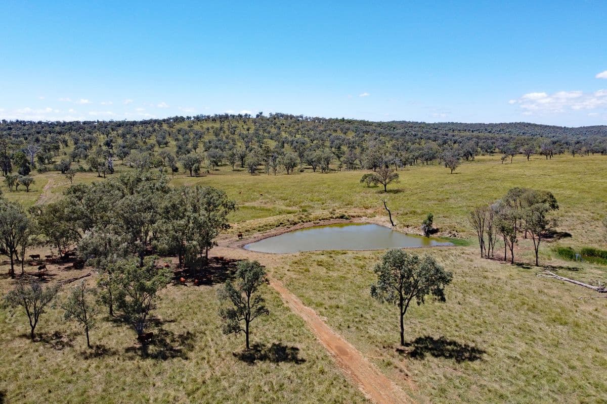 2123 Harrami Road, Harrami QLD 4630, Harrami - Thumbnail 6