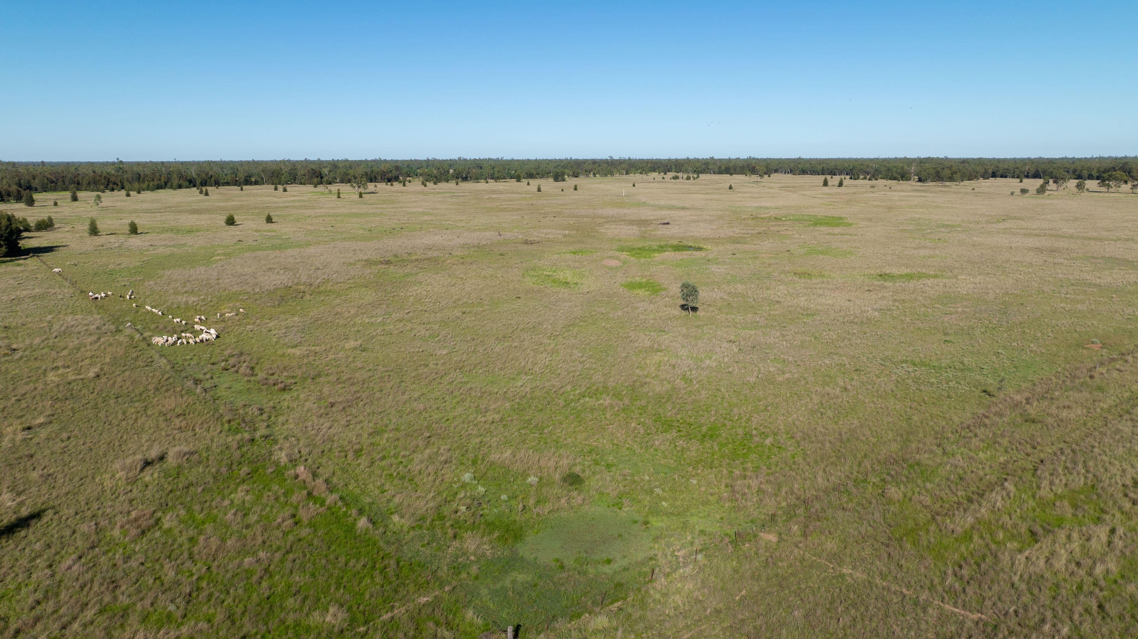 2102 Wyaga Road, Goondiwindi QLD 4390, Goondiwindi - Image 1