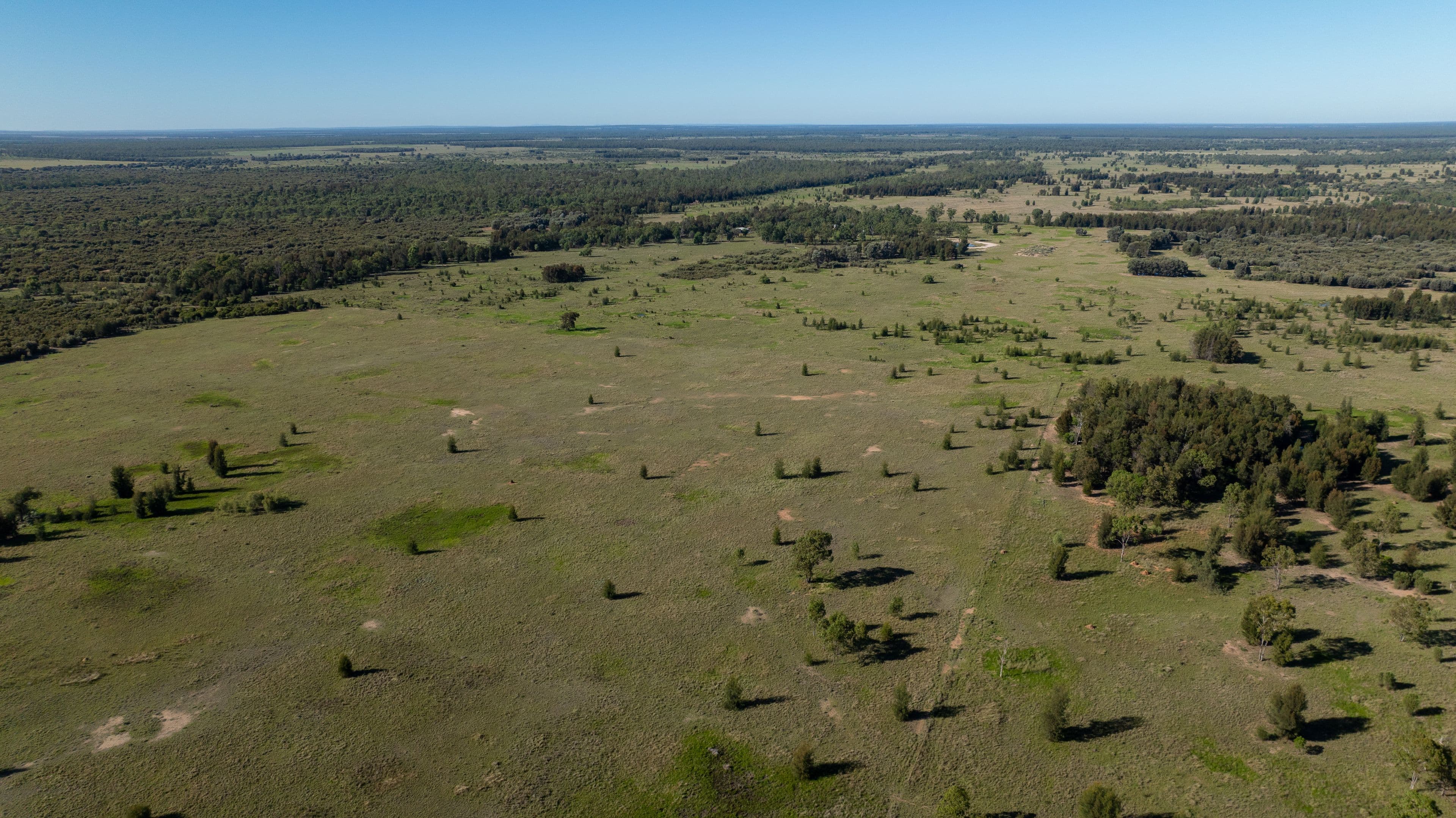 2102 Wyaga Road, Goondiwindi QLD 4390, Goondiwindi - Thumbnail 2