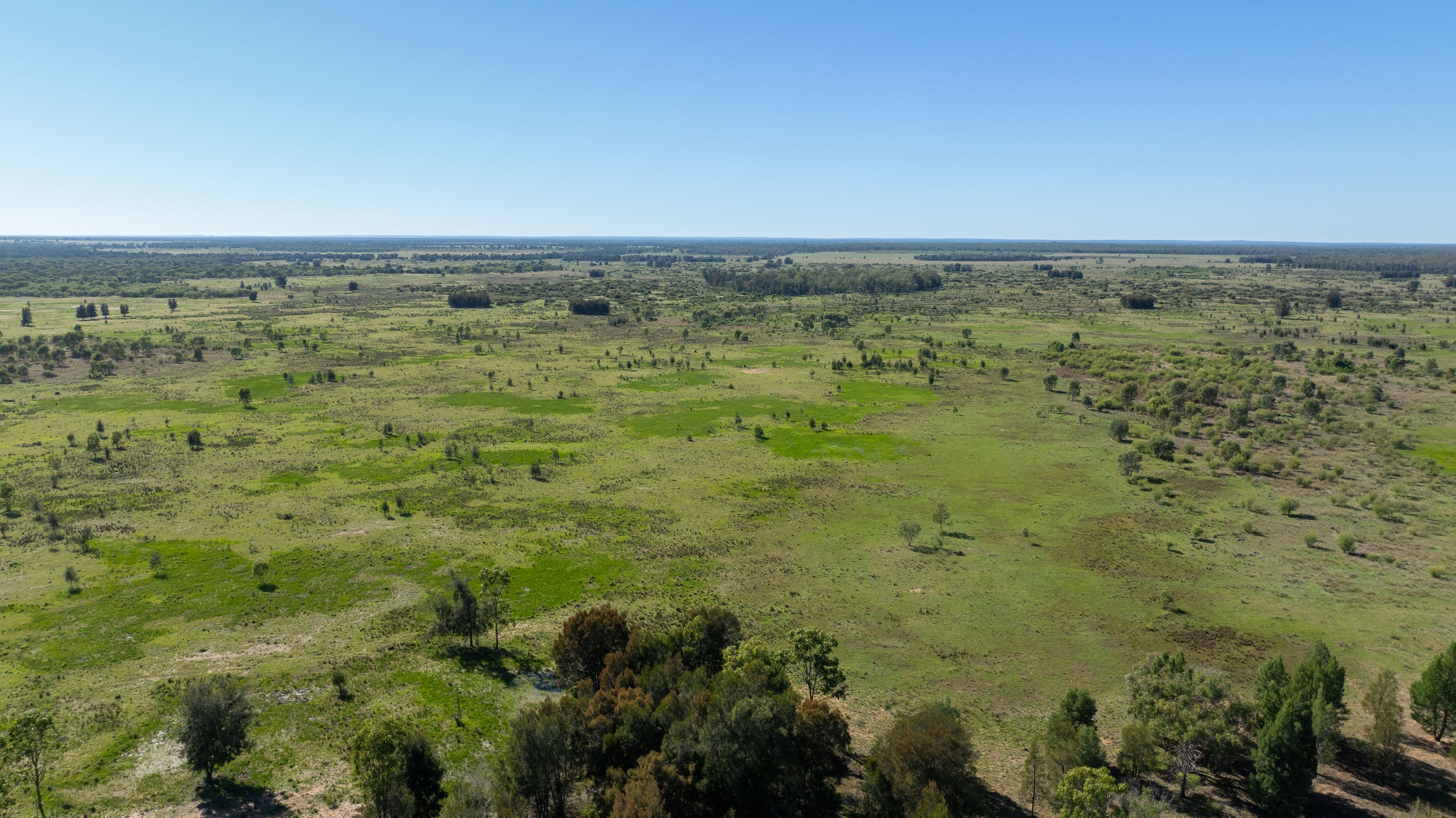 2102 Wyaga Road, Goondiwindi QLD 4390, Goondiwindi - Thumbnail 3