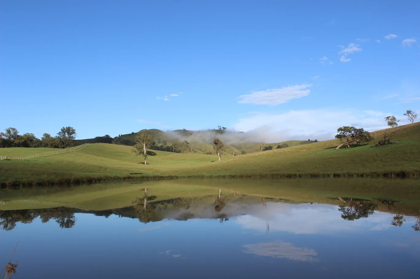 127 & 153 Bakers Creek Road, BAKERS CREEK NSW 2422, Bakers Creek - Thumbnail 2