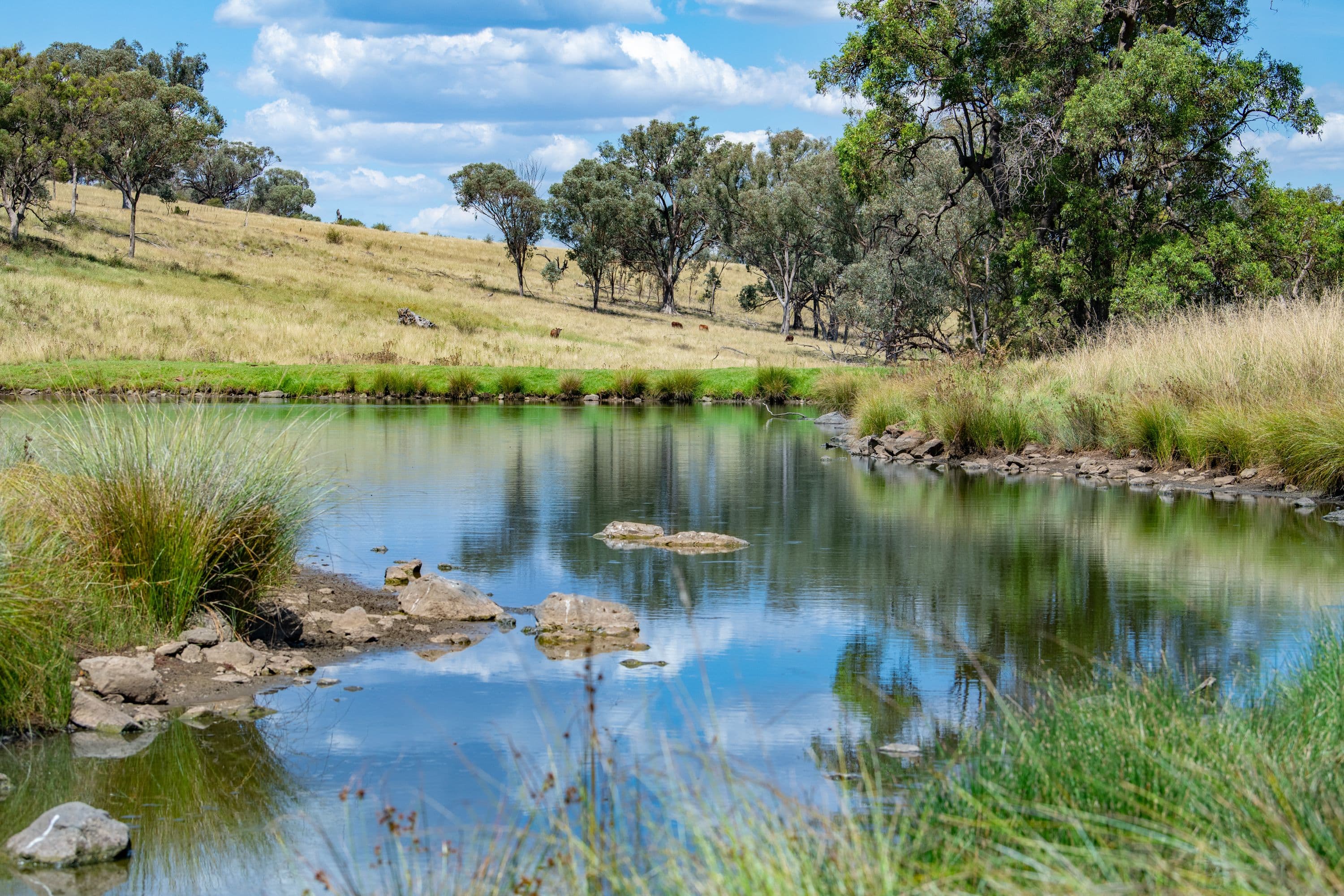 6690 Newell Highway, Gowang NSW 2357, Gowang - Thumbnail 3
