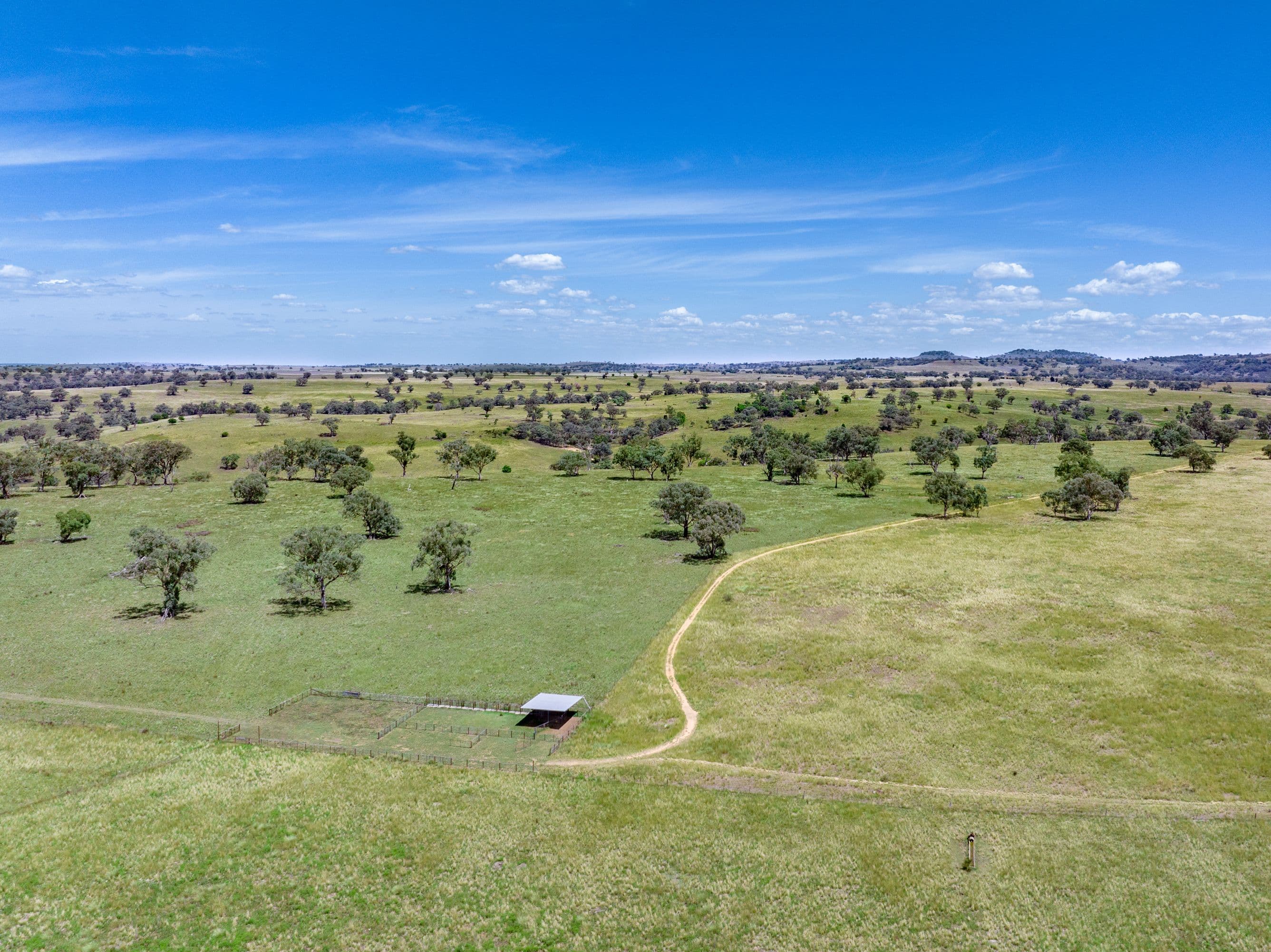 6690 Newell Highway, Gowang NSW 2357, Gowang - Thumbnail 4