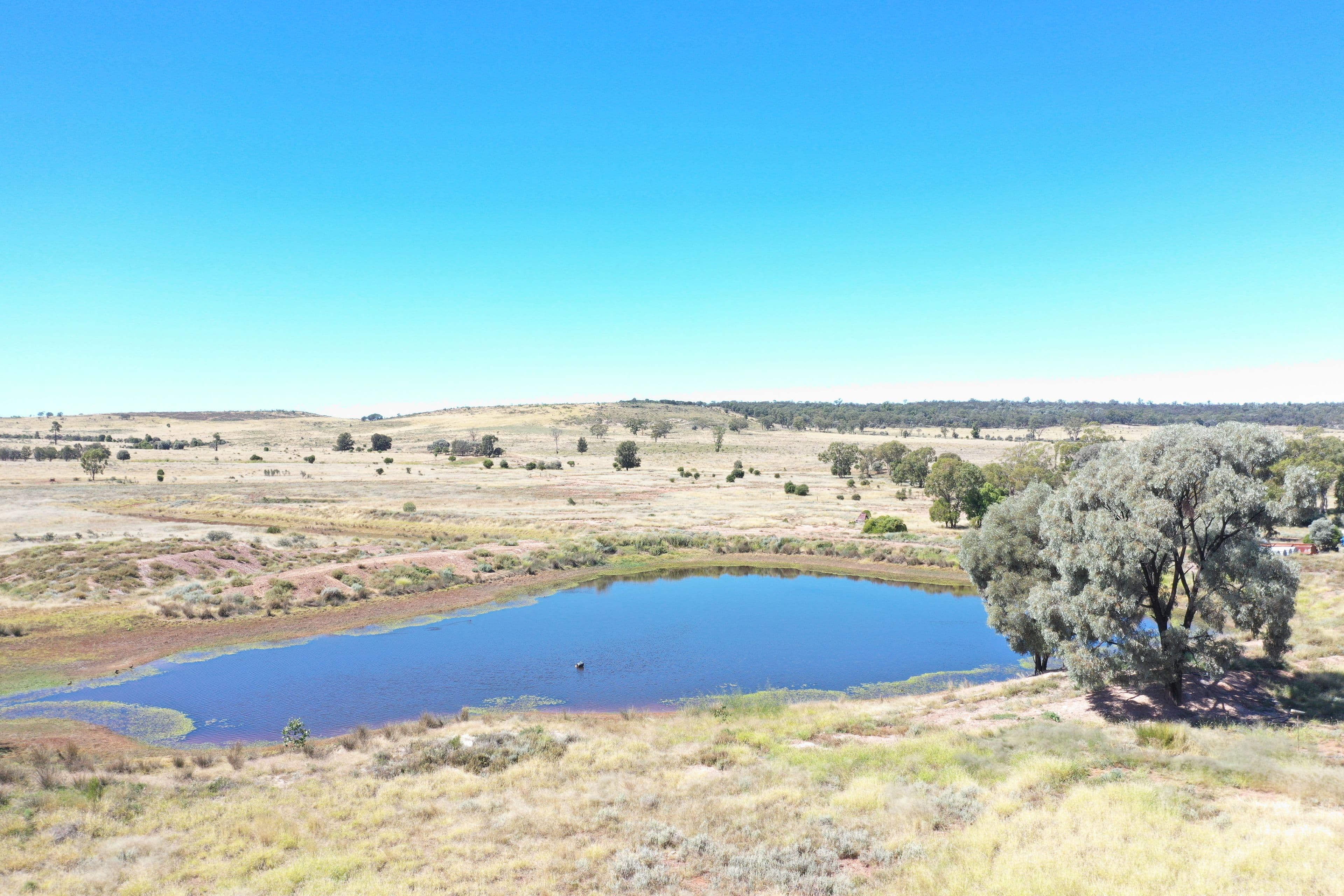 1003 Nebine Road, Morven QLD 4468, Morven - Thumbnail 2