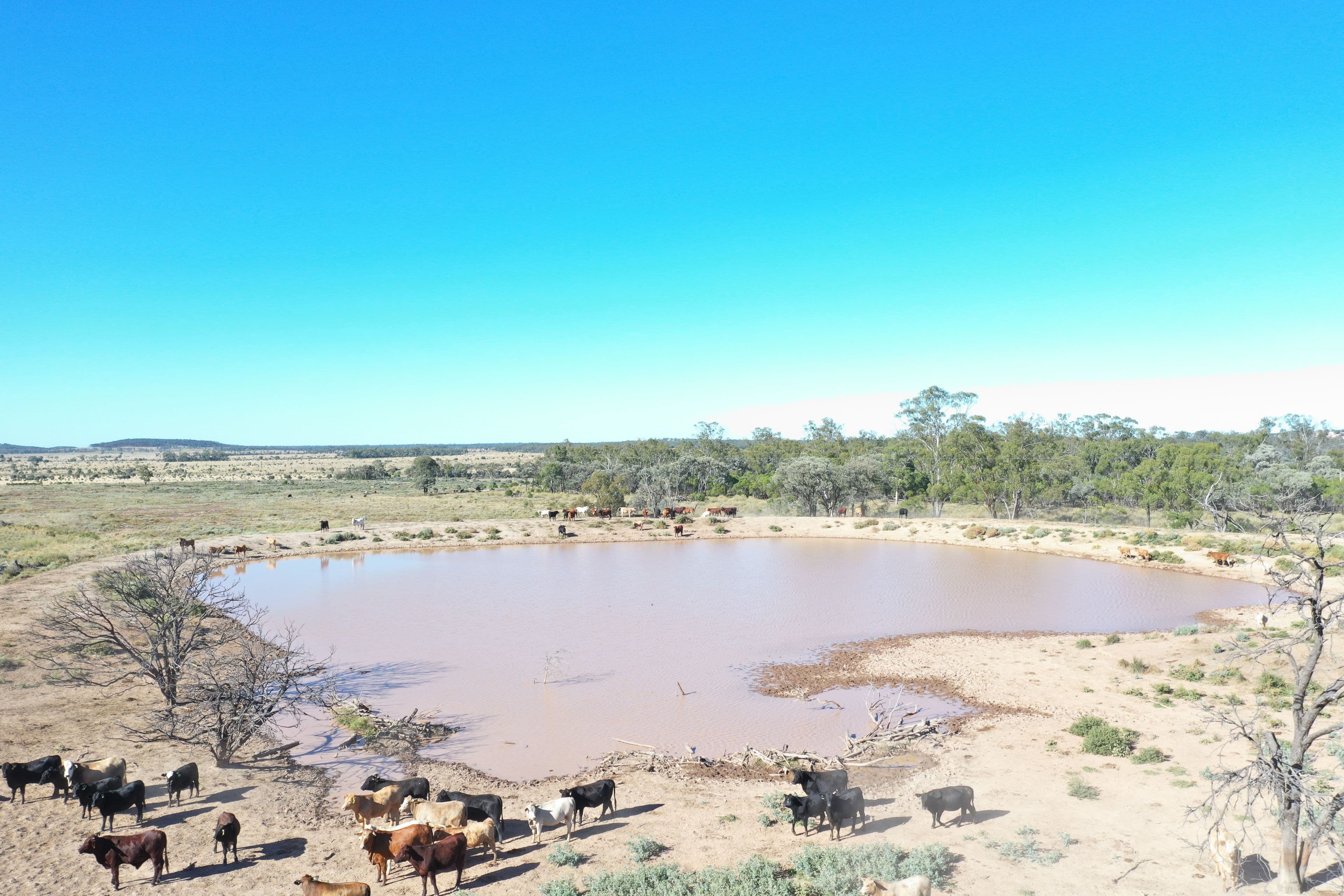 1003 Nebine Road, Morven QLD 4468, Morven - Thumbnail 4