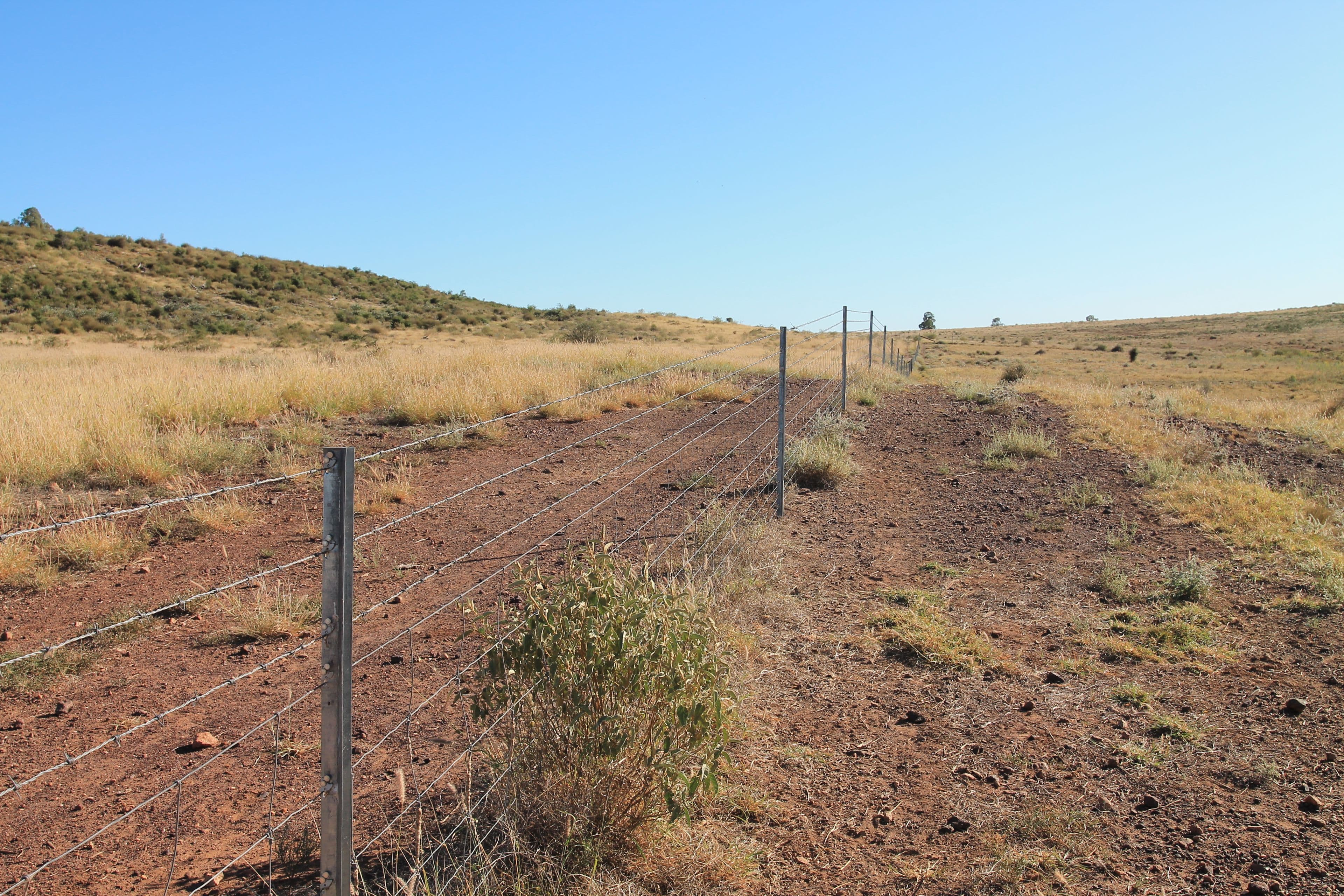 1003 Nebine Road, Morven QLD 4468, Morven - Thumbnail 7