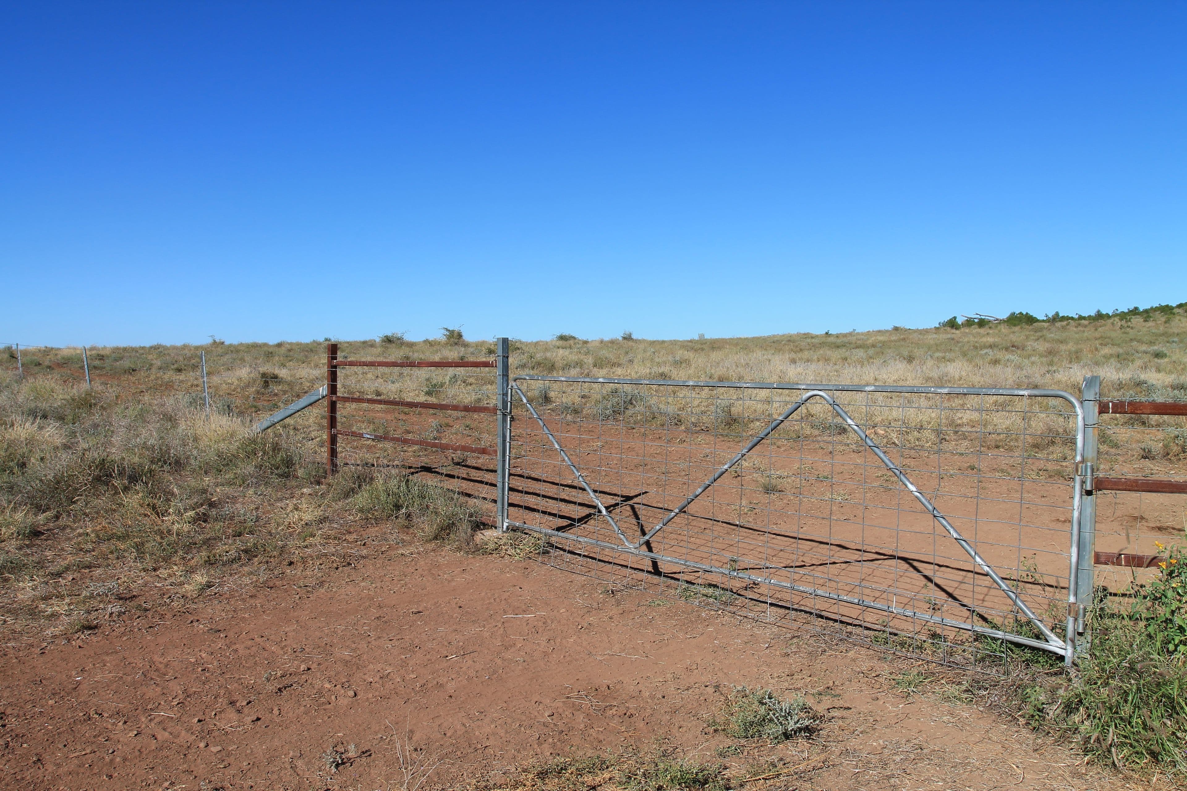 1003 Nebine Road, Morven QLD 4468, Morven - Thumbnail 8