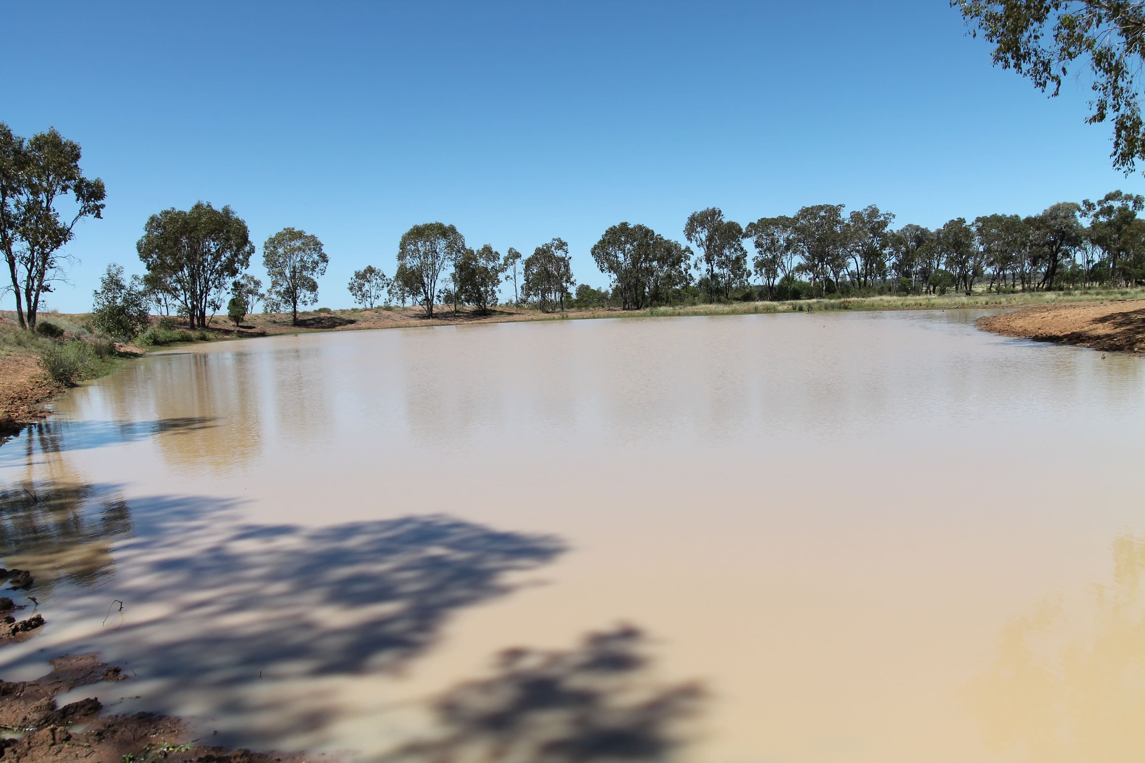 5273 Landsborough Highway, Augathella QLD 4477, Augathella - Thumbnail 6