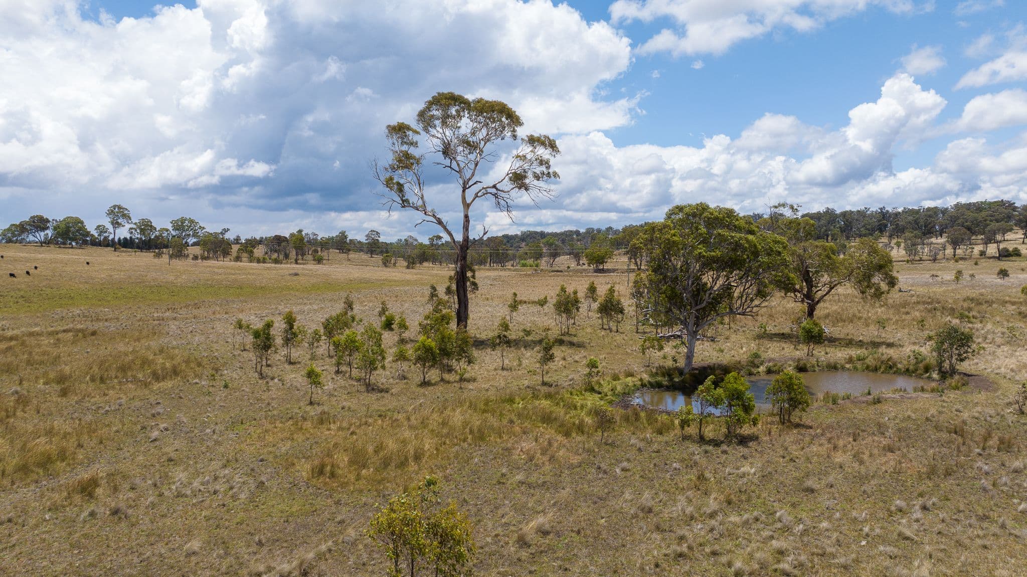 364 Long Swamp Road, Armidale NSW 2350, Armidale - Thumbnail 2