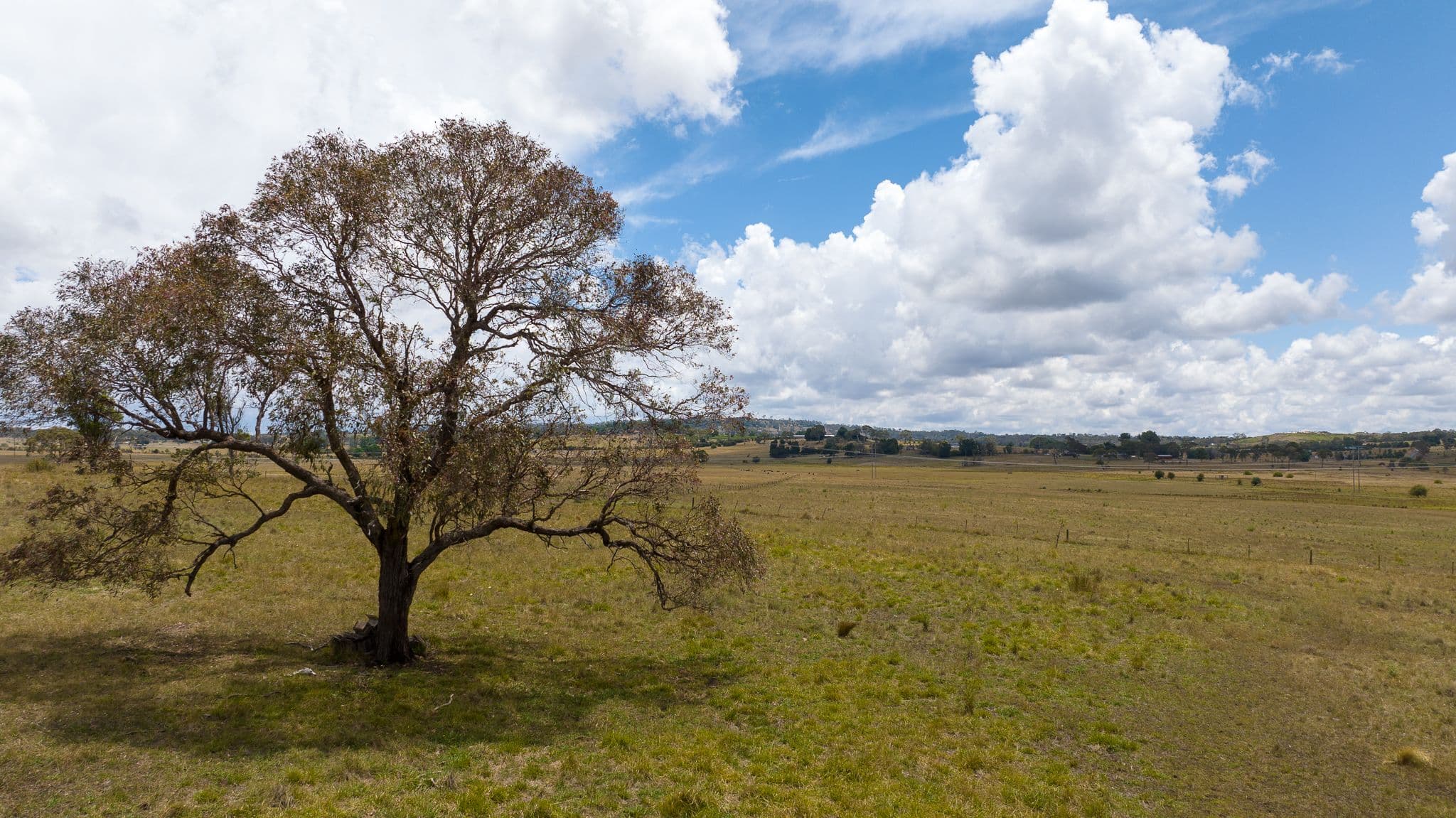 364 Long Swamp Road, Armidale NSW 2350, Armidale - Thumbnail 6