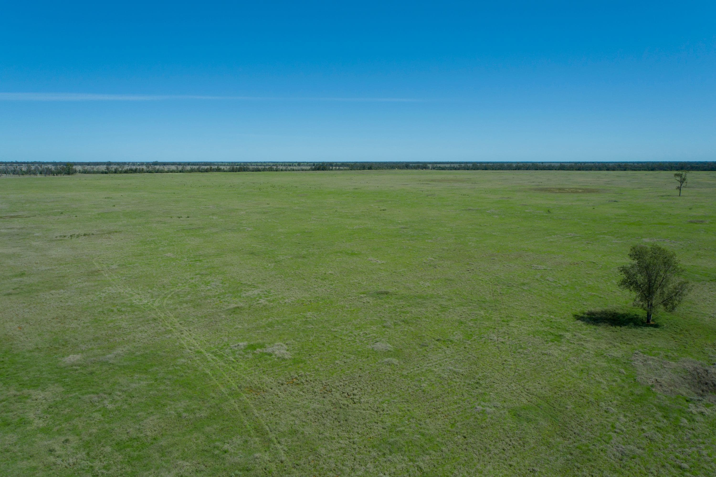 19180 St George Mitchell Road, St George QLD 4487, St George - Thumbnail 2