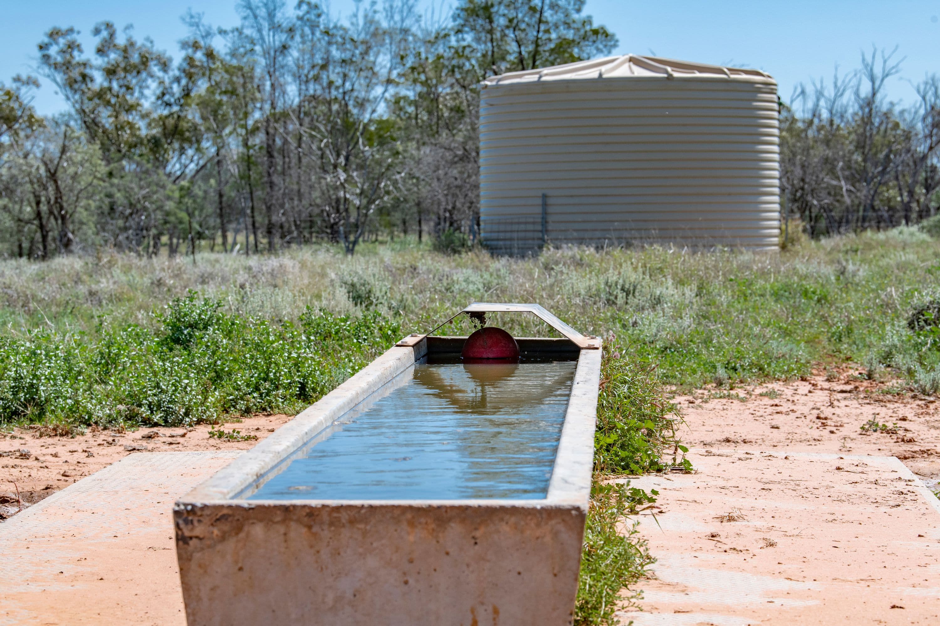 19180 St George Mitchell Road, St George QLD 4487, St George - Thumbnail 6