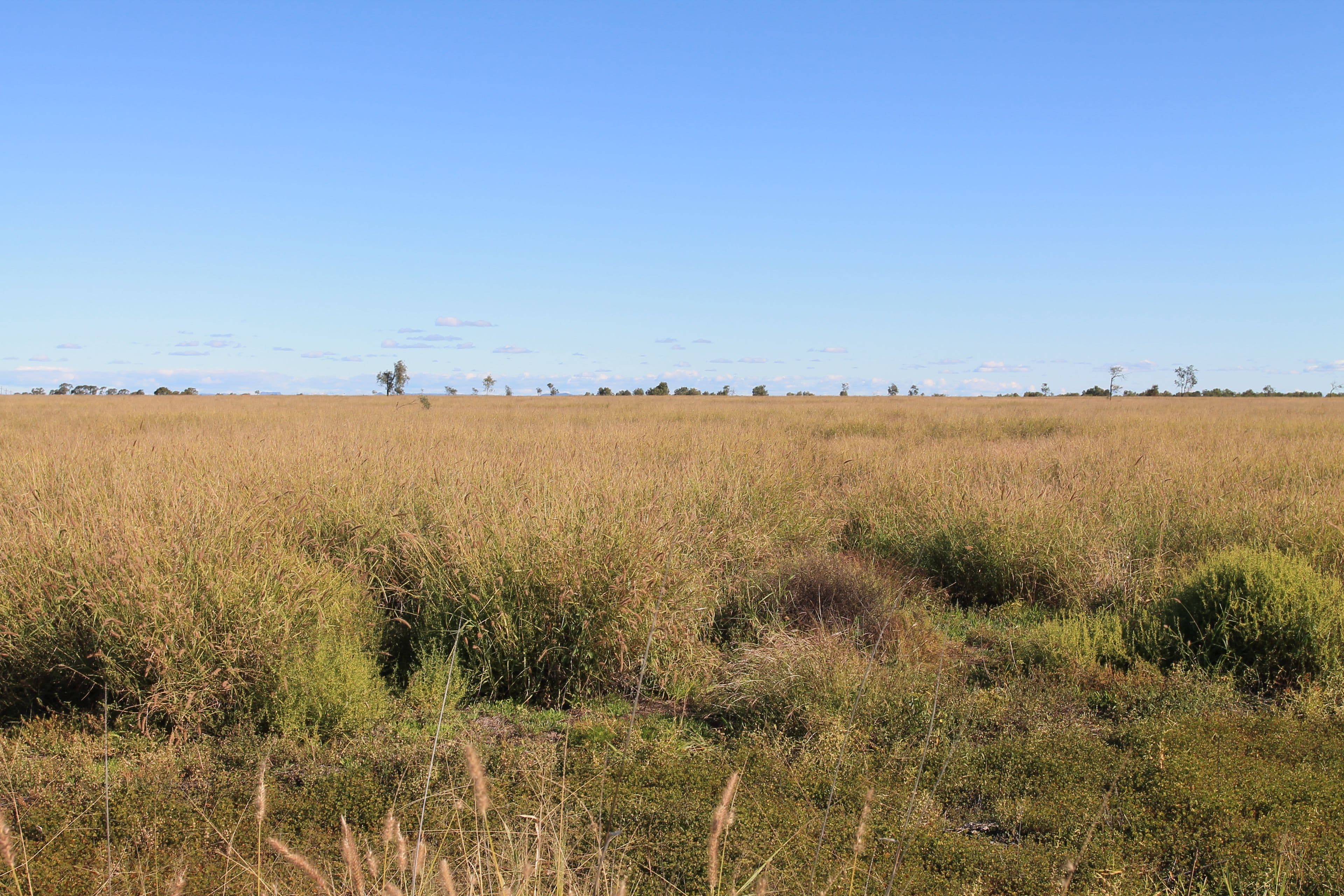 Lot 5 5449 Gregory Highway, Emerald QLD 4720, Emerald - Thumbnail 2