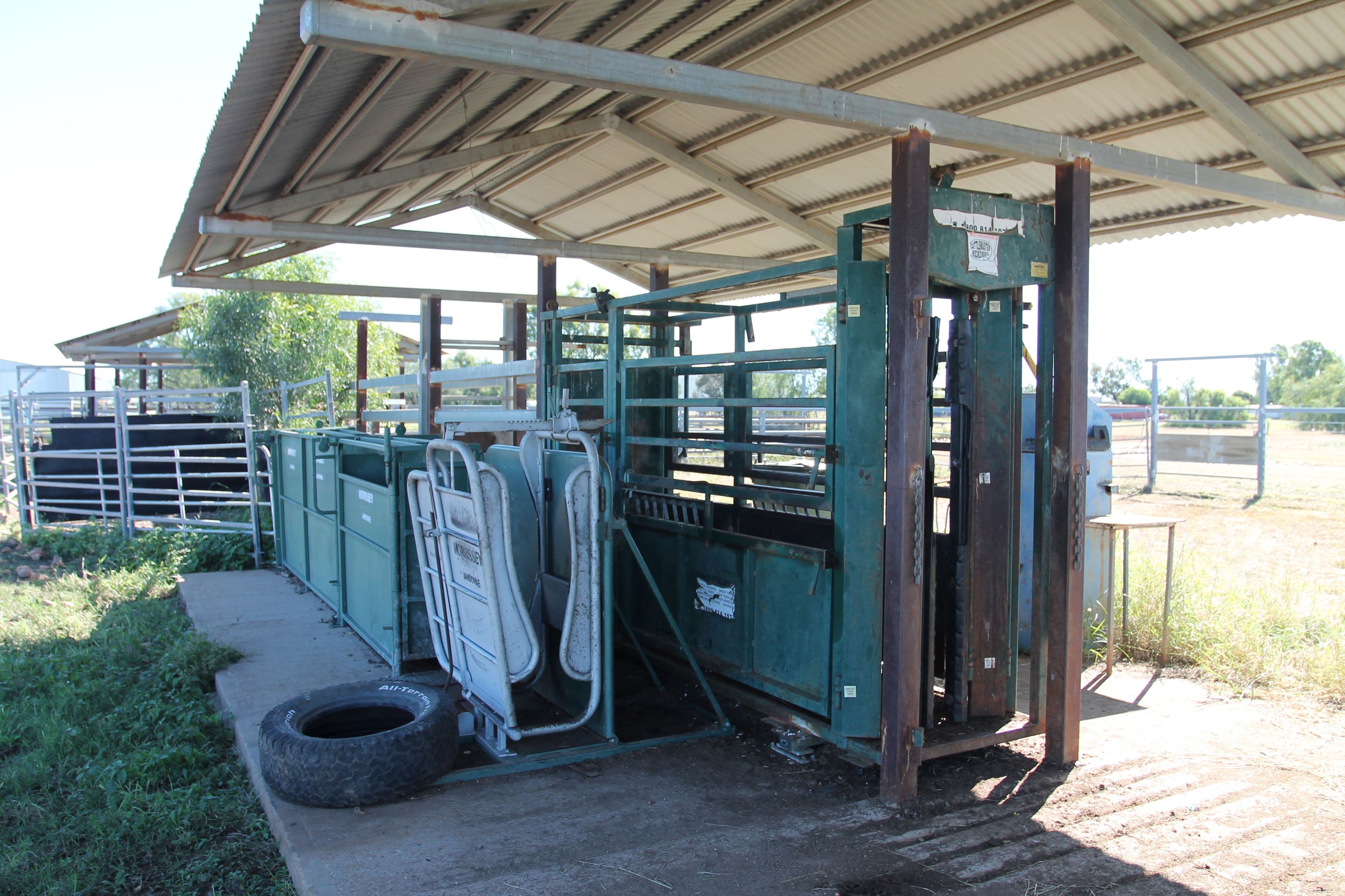 5449 Gregory Highway, Emerald QLD 4720, Emerald - Thumbnail 5