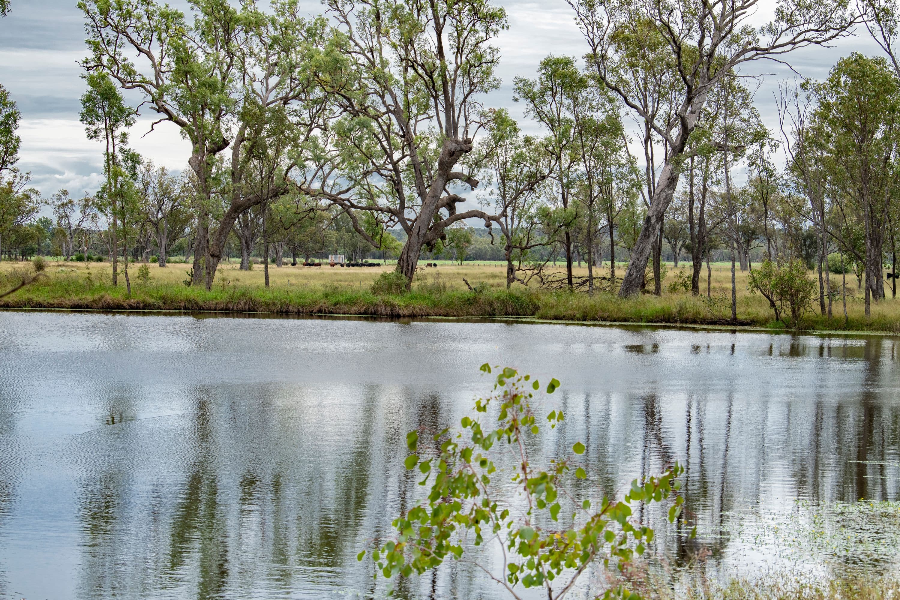 25244 Cunningham Highway, Inglewood QLD 4387, Inglewood - Thumbnail 8