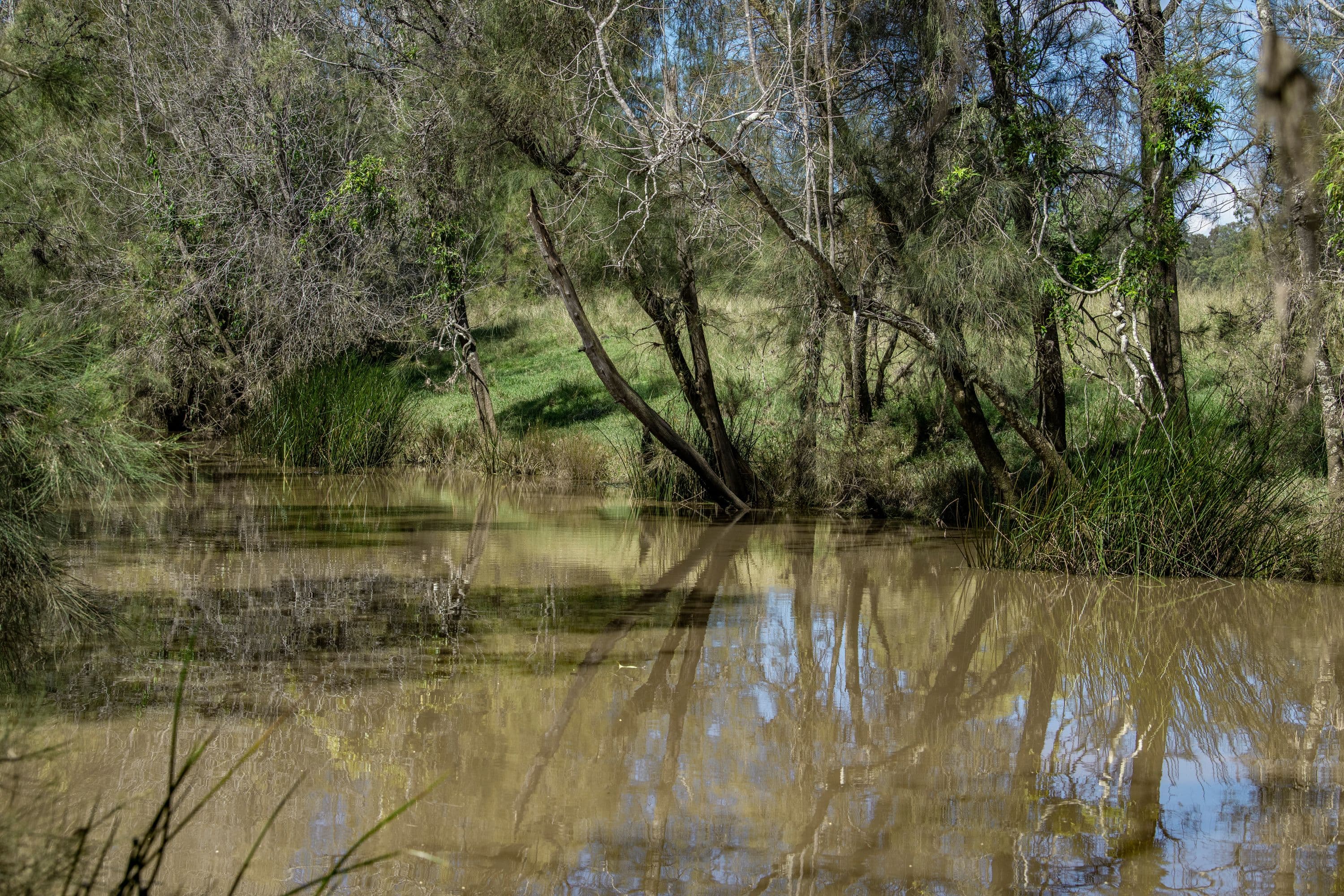 Grafton NSW 2460, Grafton - Thumbnail 4