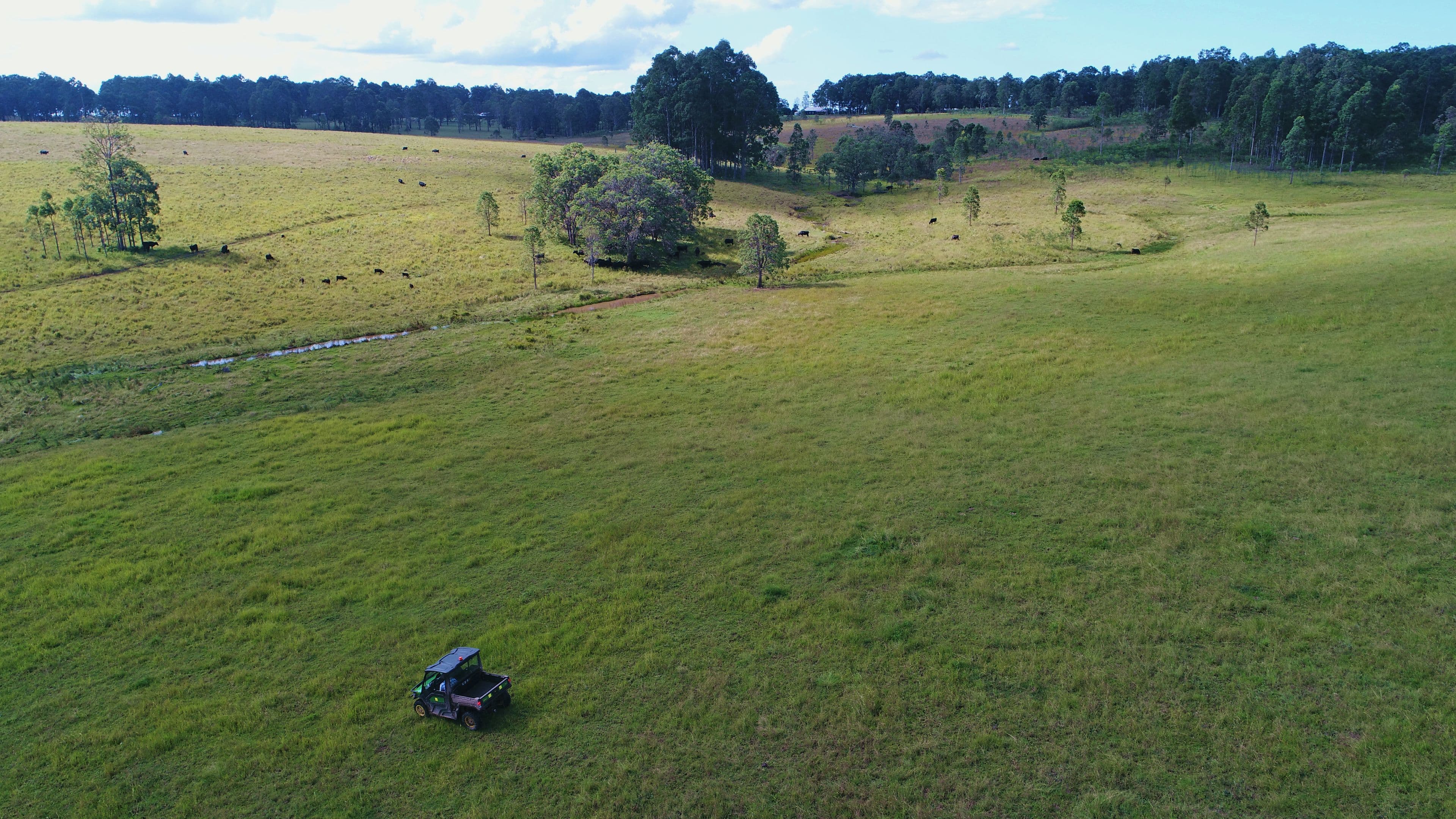 Grafton NSW 2460, Grafton - Thumbnail 5