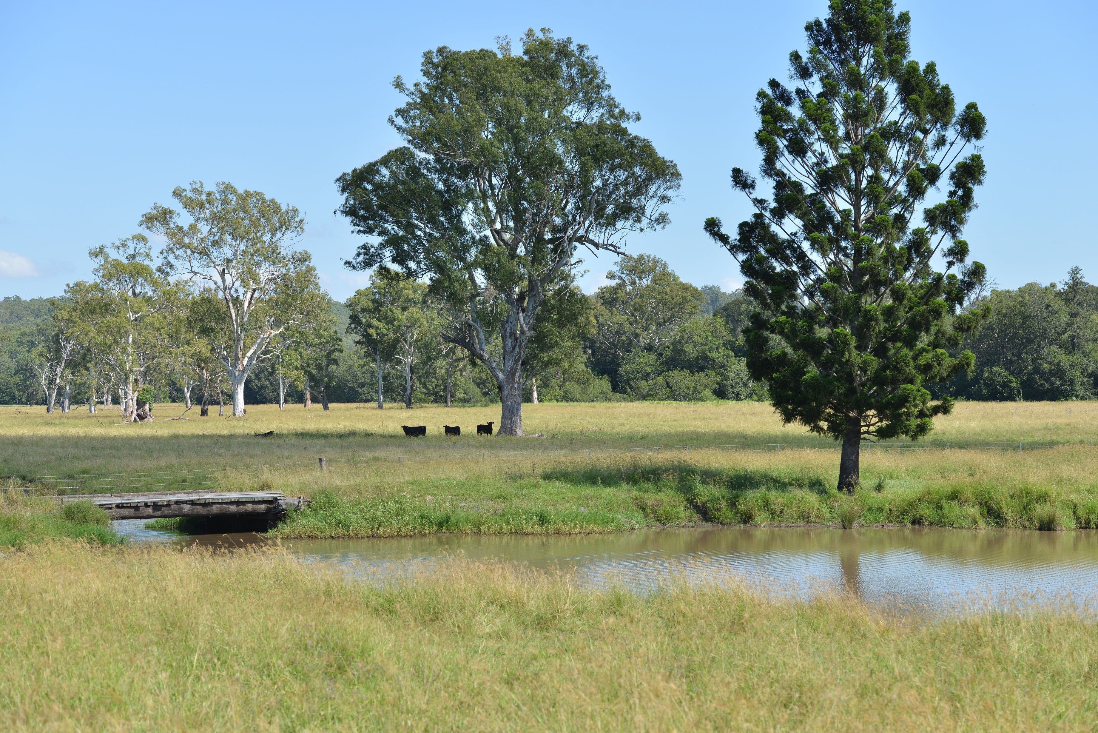 330-390 Spengler Road, Tabragalba QLD 4285, Tabragalba - Thumbnail 7