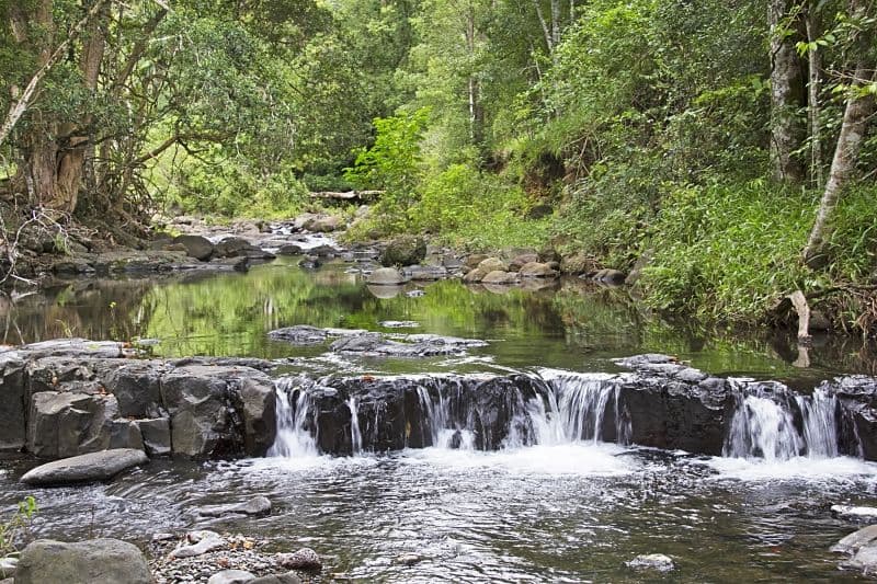 Lot 2 and 54 Stoddarts Road, Tyalgum NSW 2484, Tyalgum - Image 1