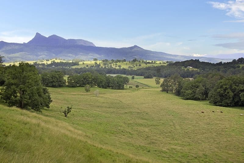 Lot 2 and 54 Stoddarts Road, Tyalgum NSW 2484, Tyalgum - Thumbnail 2