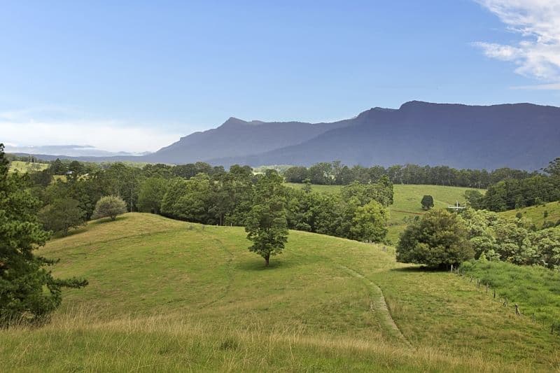 Lot 2 and 54 Stoddarts Road, Tyalgum NSW 2484, Tyalgum - Thumbnail 3