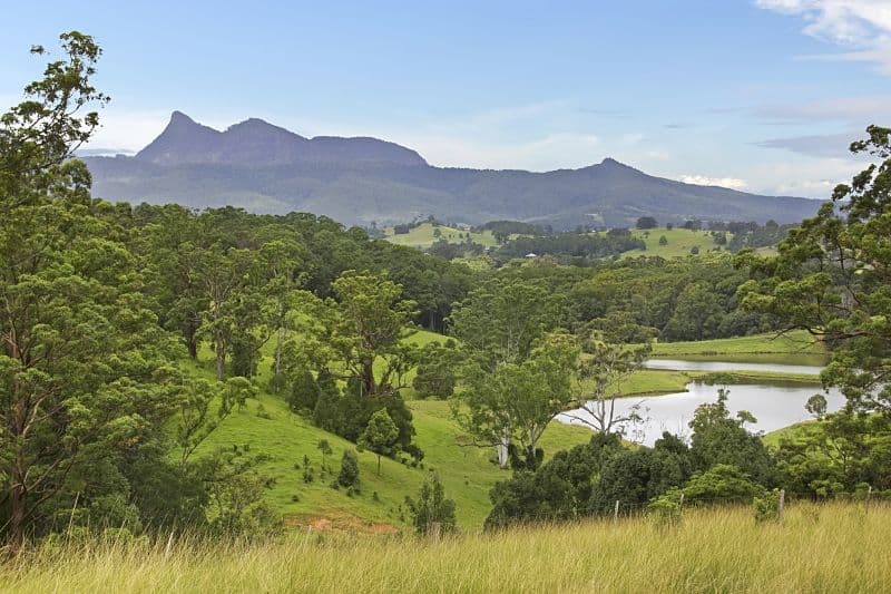 Lot 2 and 54 Stoddarts Road, Tyalgum NSW 2484, Tyalgum - Thumbnail 4