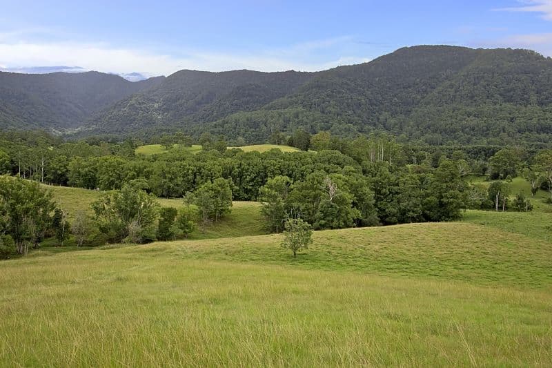 Lot 2 and 54 Stoddarts Road, Tyalgum NSW 2484, Tyalgum - Thumbnail 5