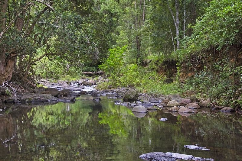 Lot 2 and 54 Stoddarts Road, Tyalgum NSW 2484, Tyalgum - Thumbnail 6