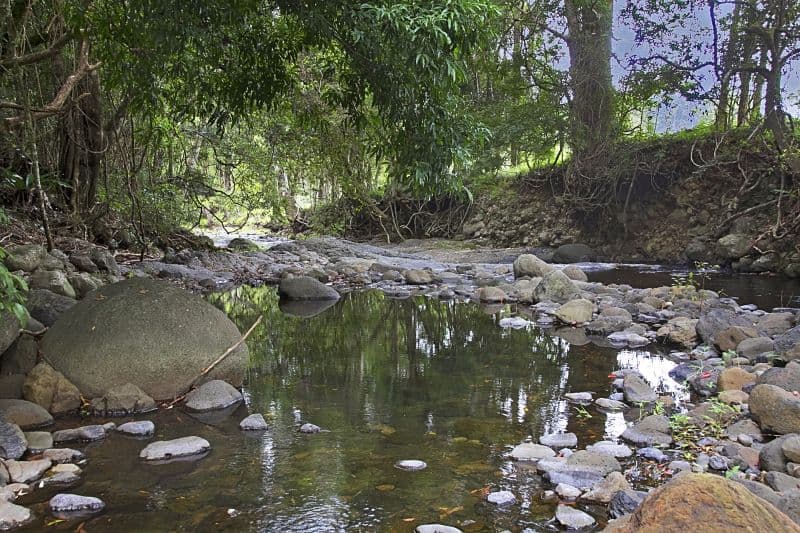Lot 2 and 54 Stoddarts Road, Tyalgum NSW 2484, Tyalgum - Thumbnail 7