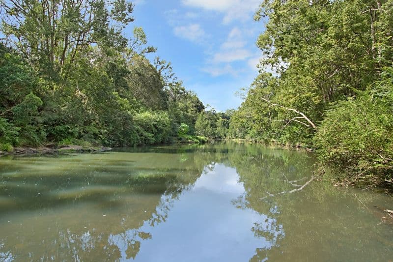 1706 Tyalgum Road, TYALGUM NSW 2484, Tyalgum - Thumbnail 2