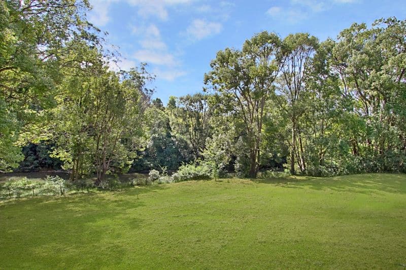 1706 Tyalgum Road, TYALGUM NSW 2484, Tyalgum - Thumbnail 7