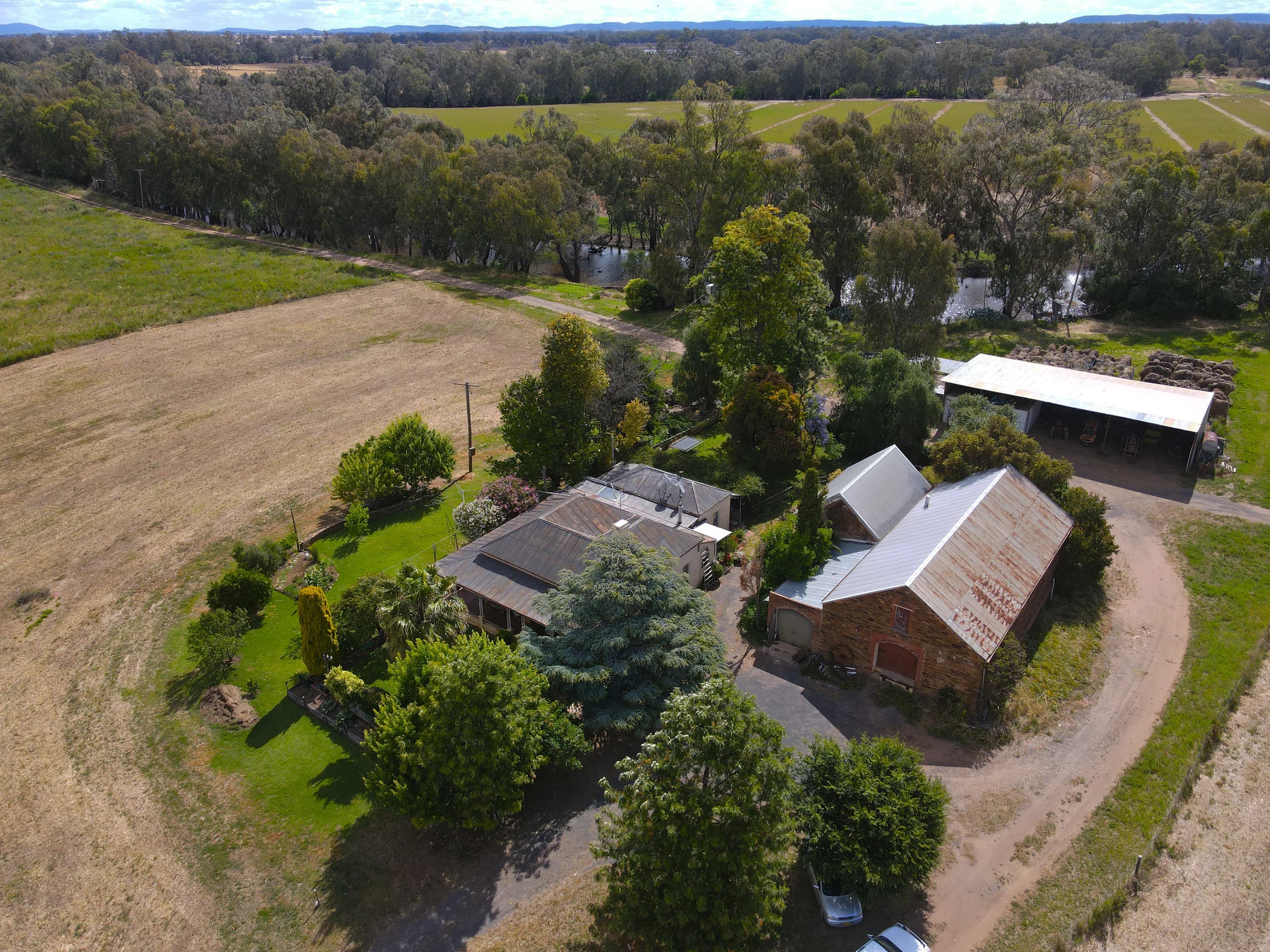 64 Allbett Lane, Forbes NSW 2871, Forbes - Image 1