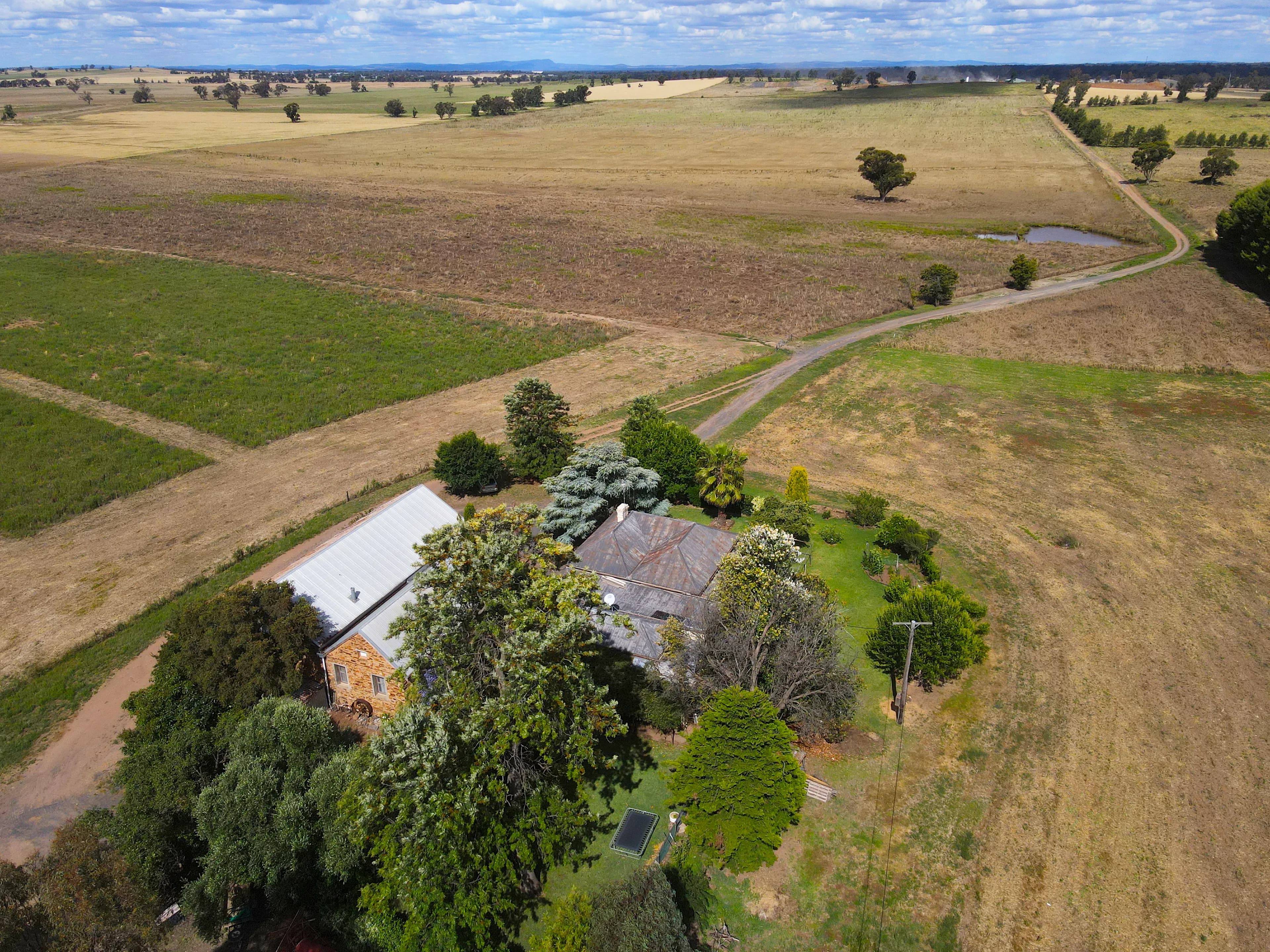 64 Allbett Lane, Forbes NSW 2871, Forbes - Thumbnail 2