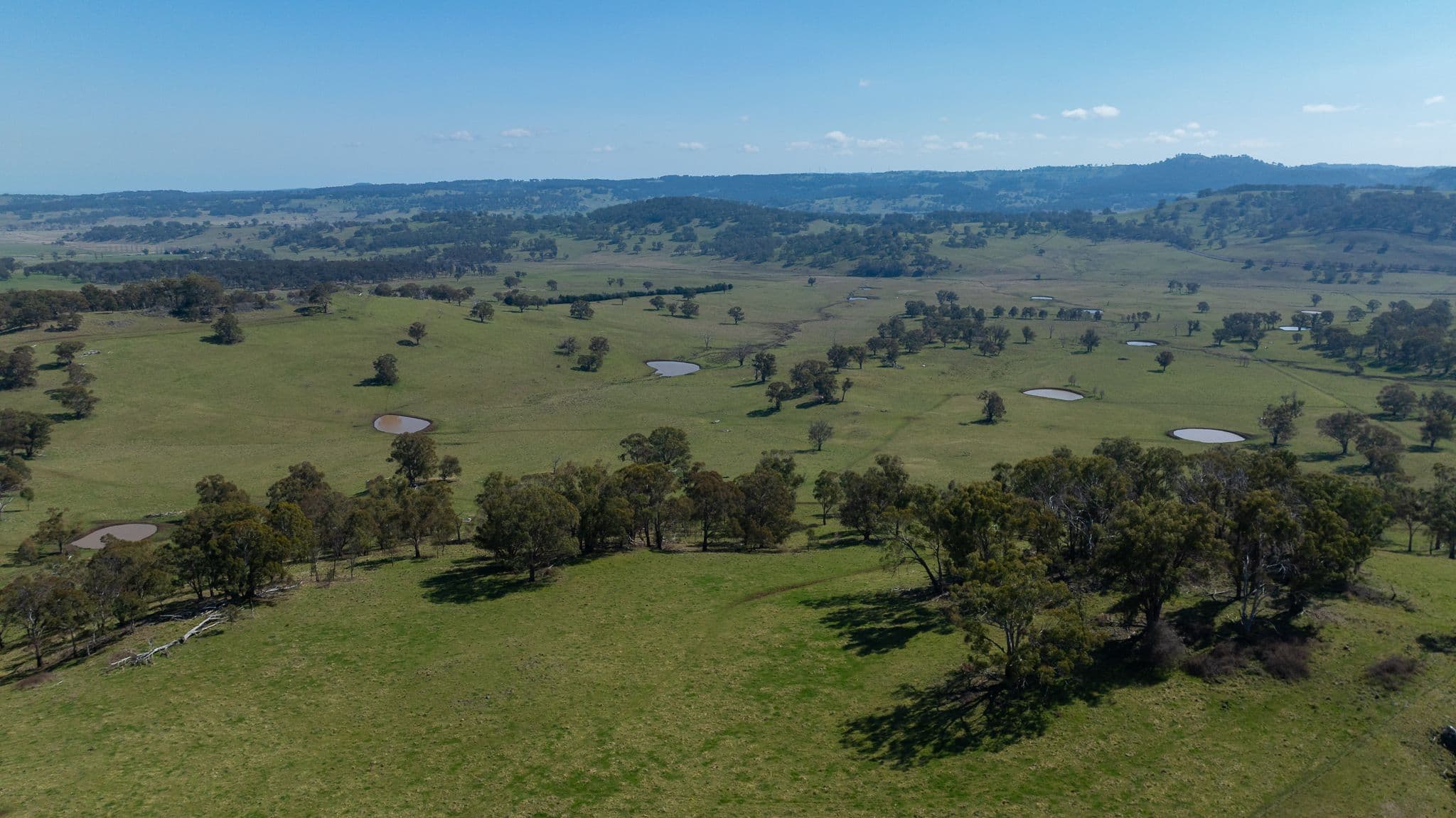 'Brucelyn & Mt Emby' 453 & 504 Moredun Road, Ben Lomond NSW 2365, Ben Lomond - Thumbnail 5