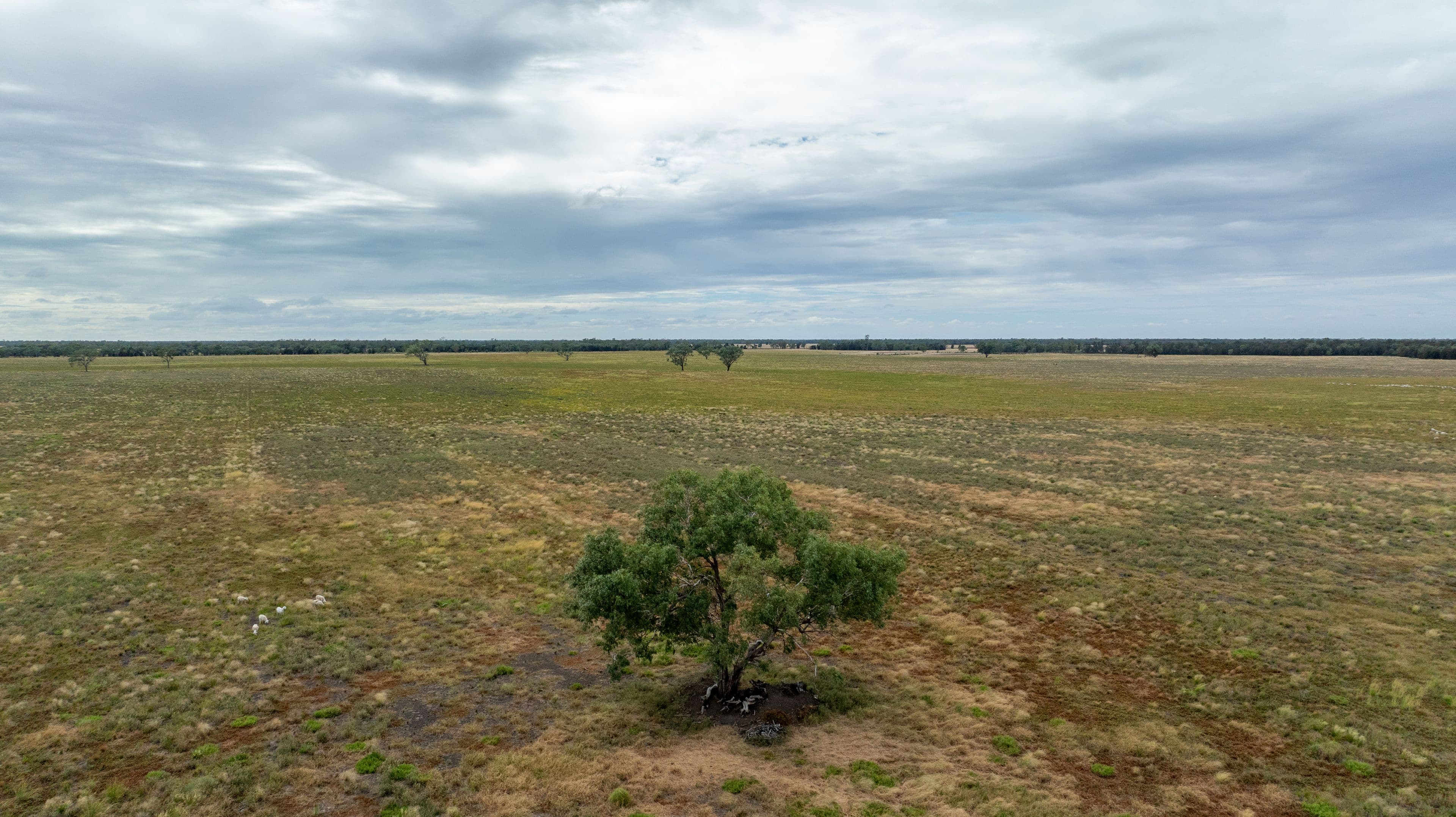 "Minnel" 1625 Minnel Road, Toobeah QLD 4498, Toobeah - Thumbnail 6