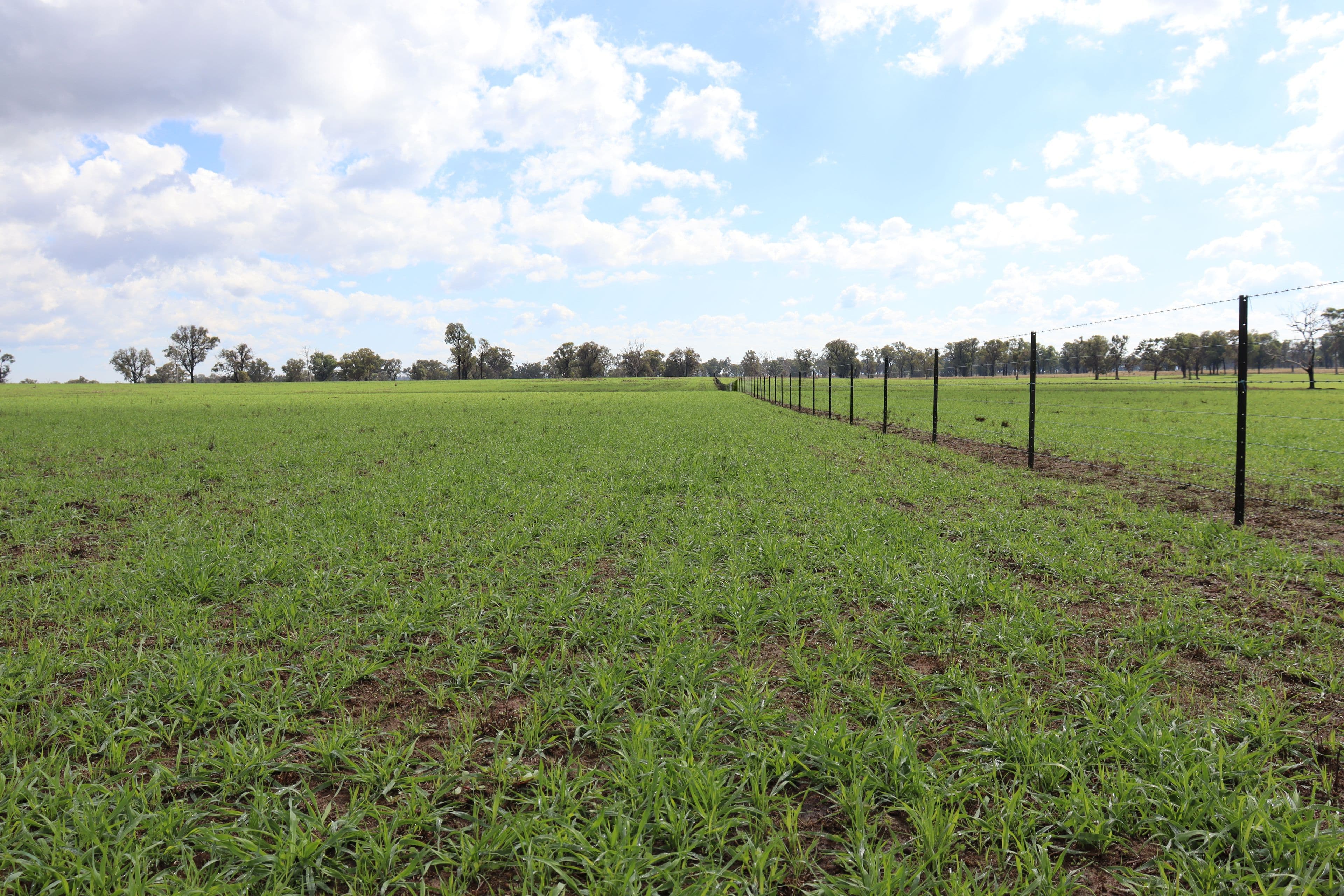 5309 Thunderbolts Way, Abington NSW 2350, Abington - Thumbnail 6