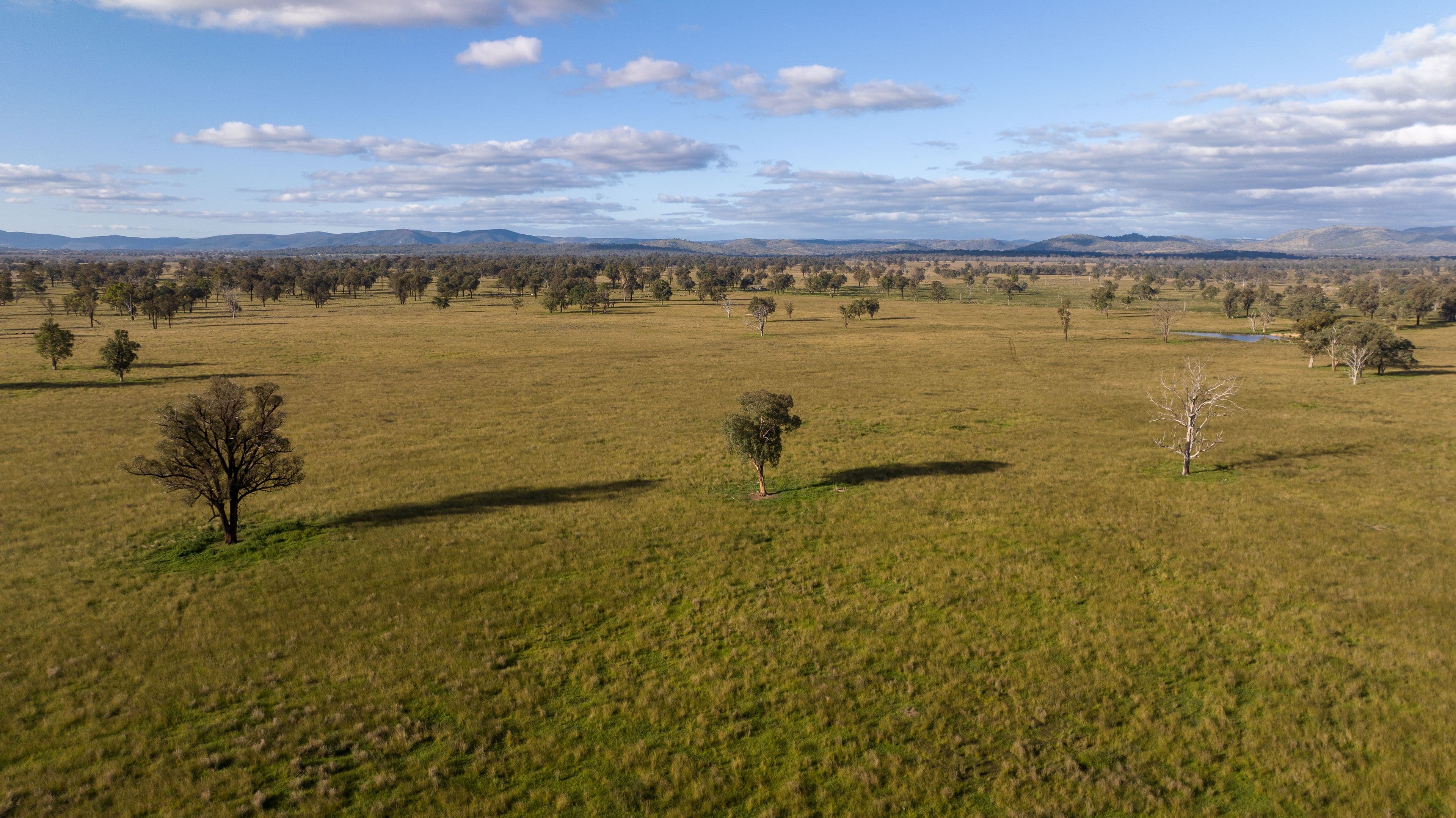 5309 Thunderbolts Way, Abington NSW 2350, Abington - Thumbnail 7