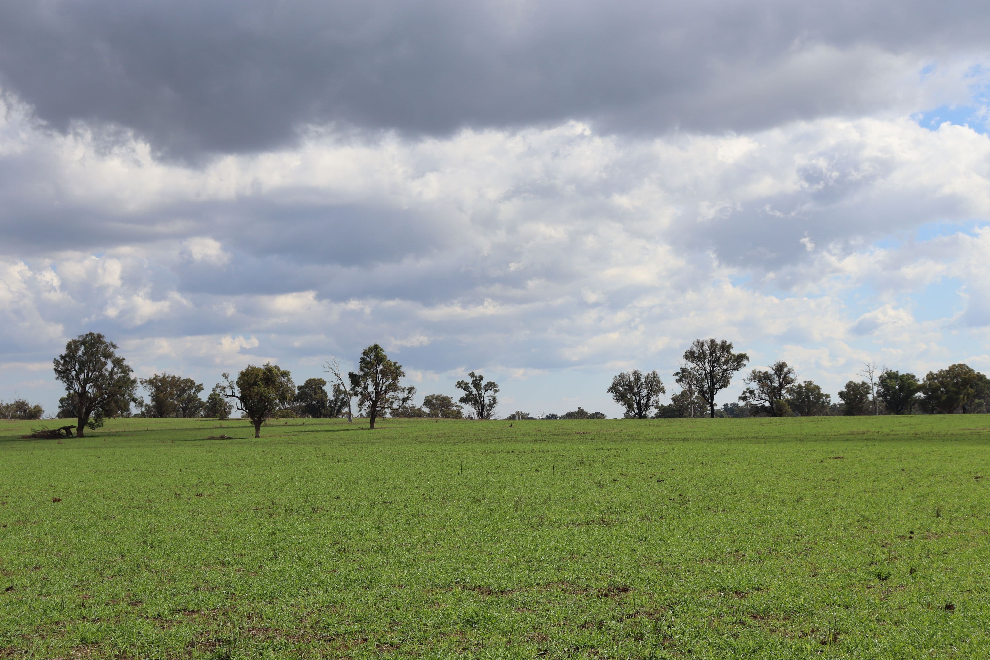 5309 Thunderbolts Way, Abington NSW 2350, Abington - Thumbnail 8