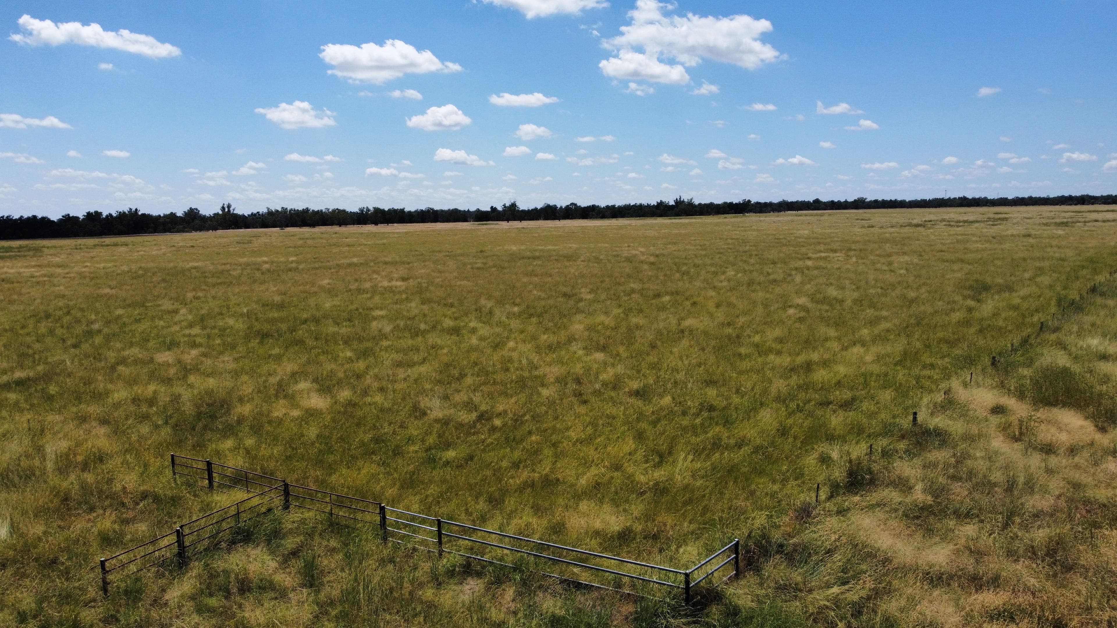 189 Minnel Road, Toobeah QLD 4498, Toobeah - Thumbnail 6