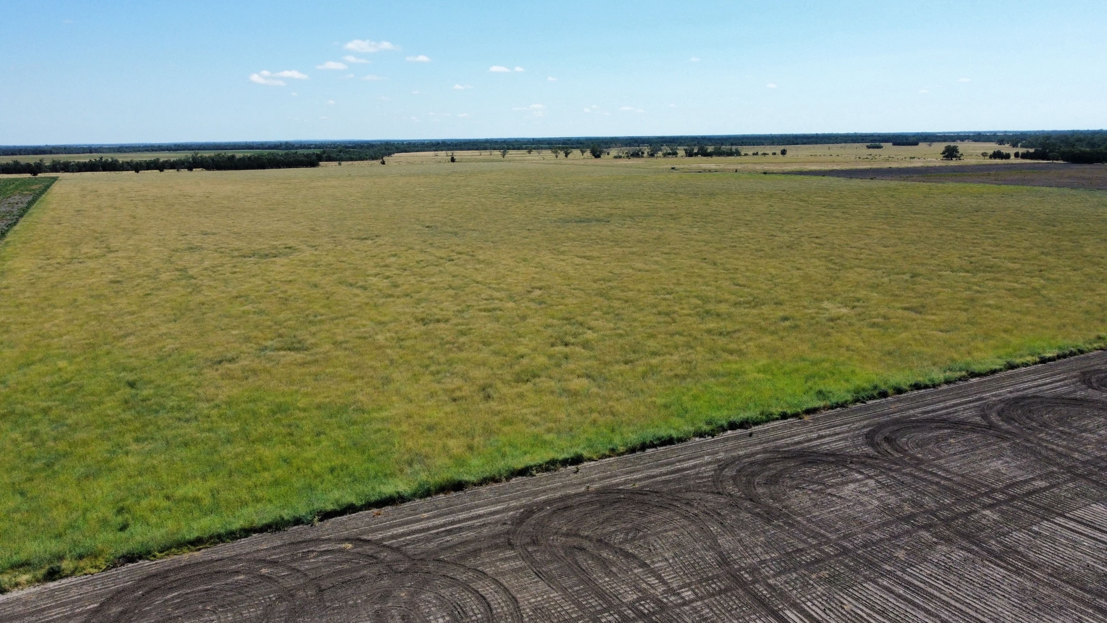 189 Minnel Road, Toobeah QLD 4498, Toobeah - Thumbnail 7