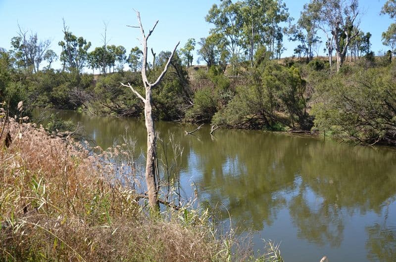 "Twin Rivers" Hawkwood Road, Mundubbera QLD 4626, Mundubbera - Thumbnail 6